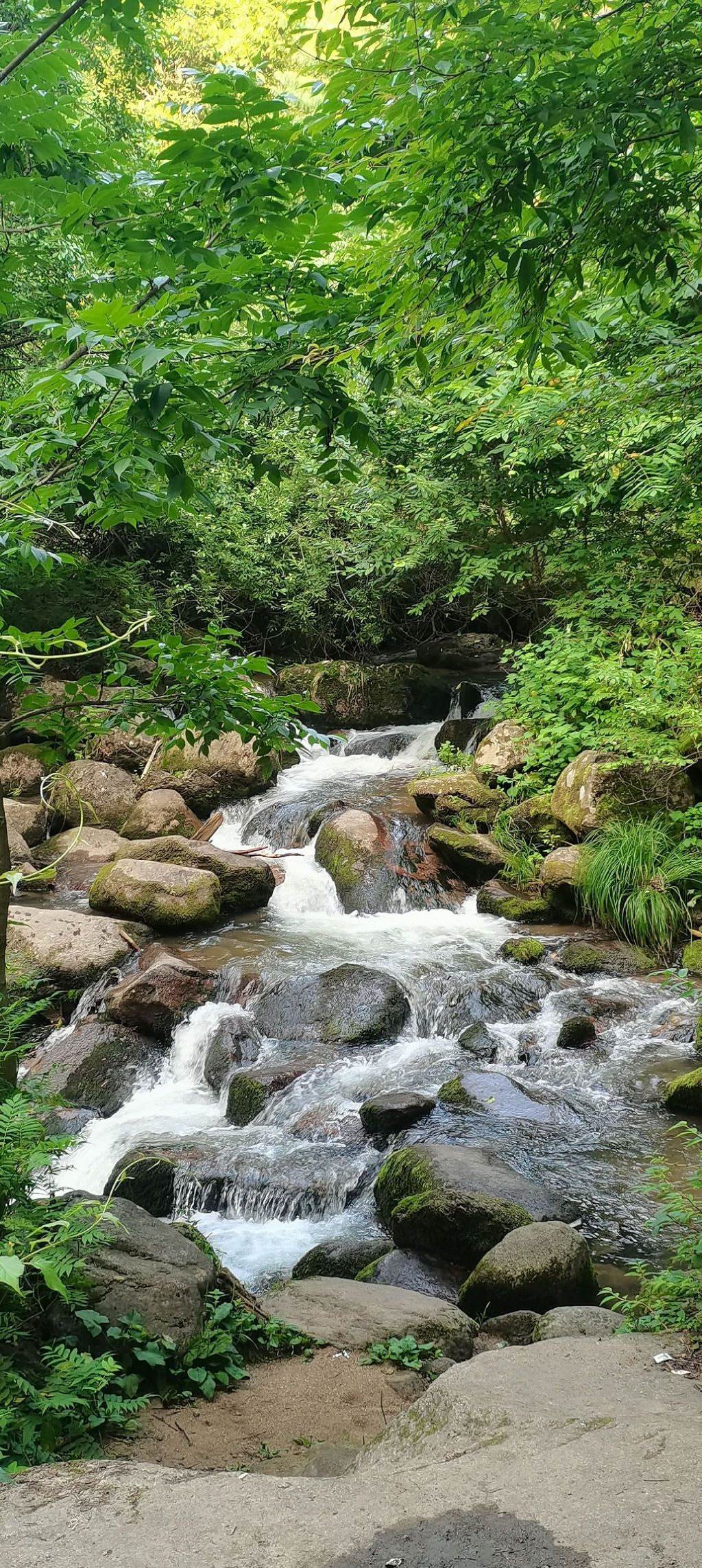 蛟河天岗太平沟旅行图片 1