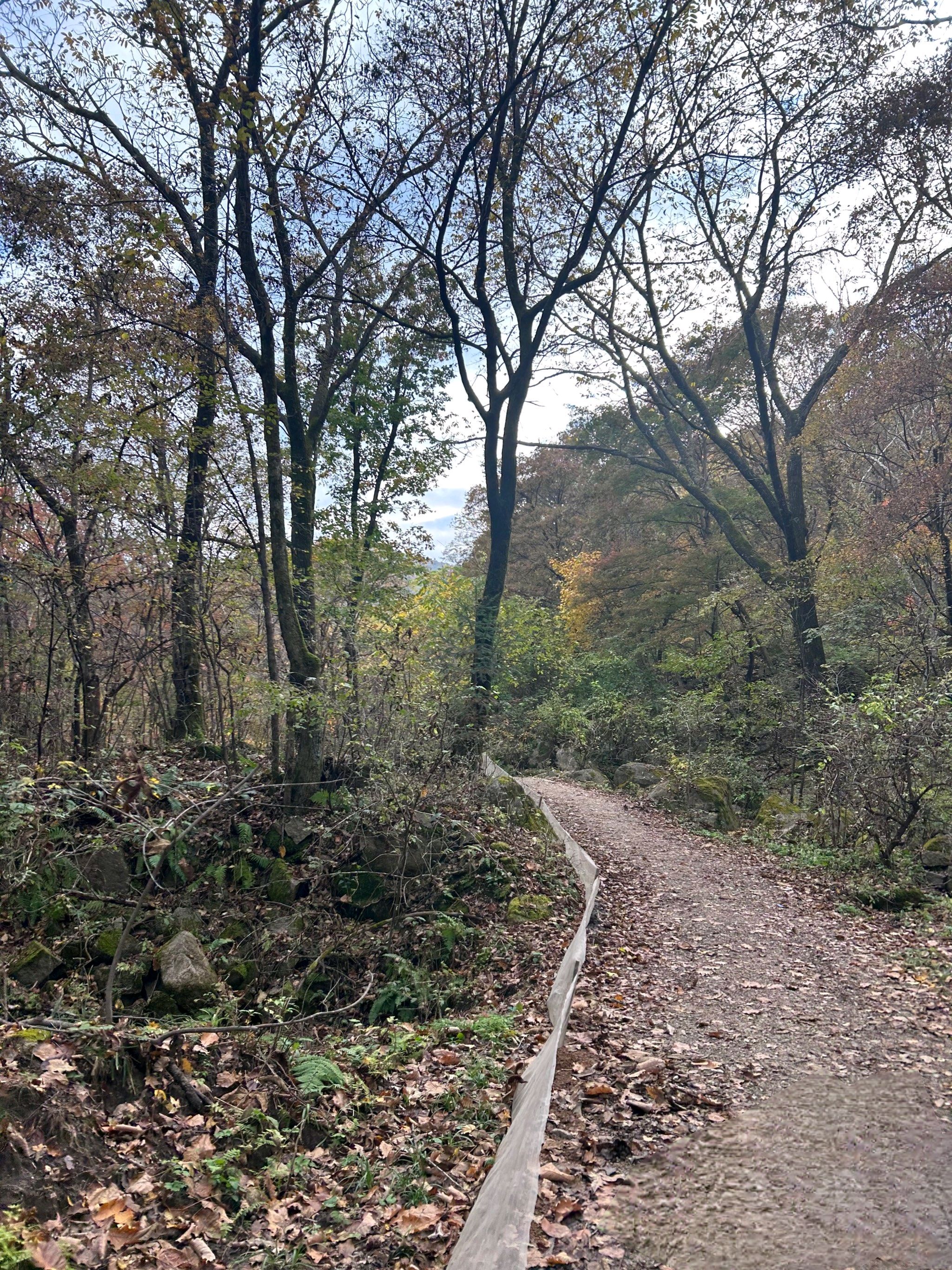 蛟河天岗太平沟旅行图片 2