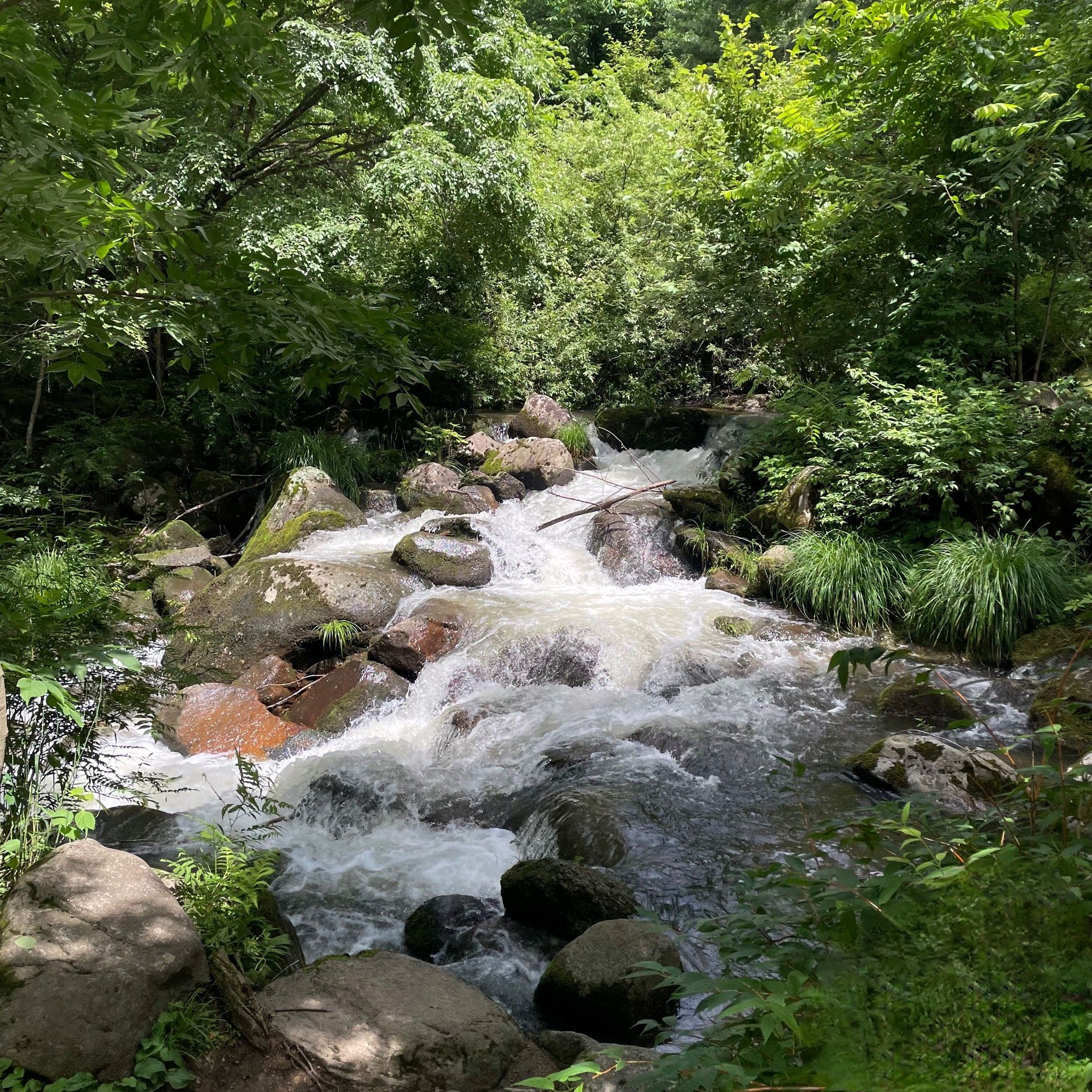 蛟河天岗太平沟旅行图片 1