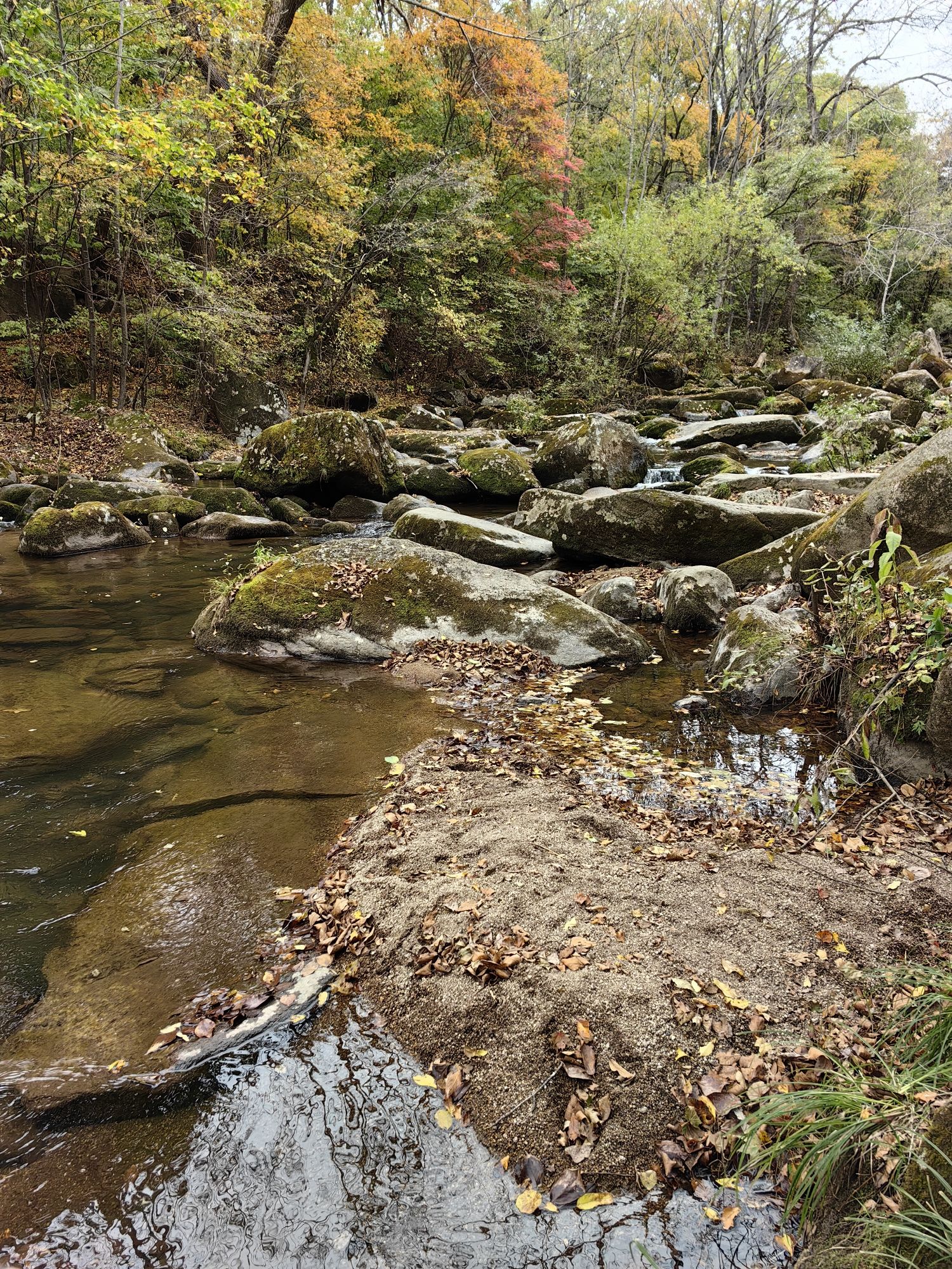 蛟河天岗太平沟旅行图片 3