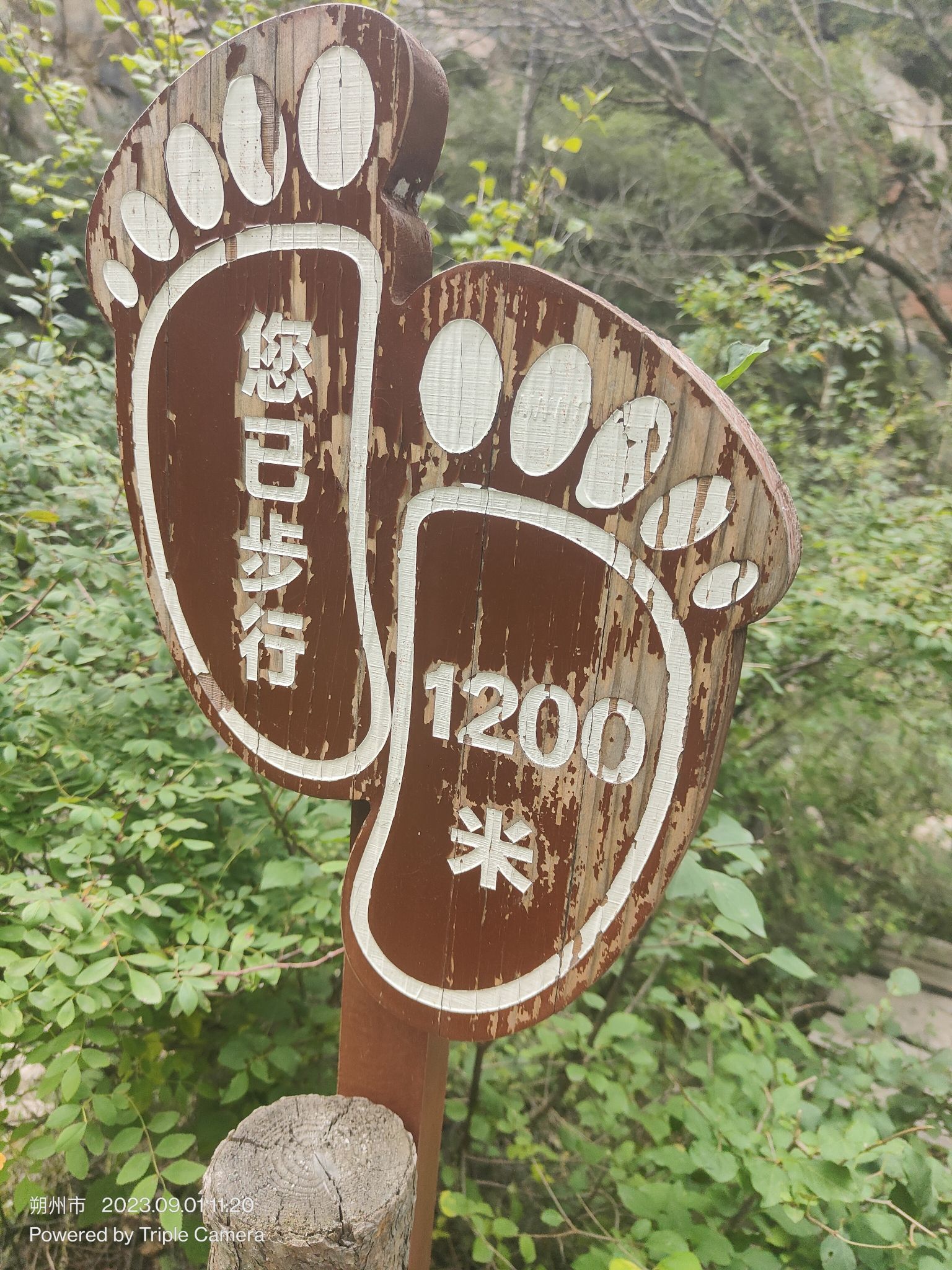 山阴蝴蝶谷旅行图片 2