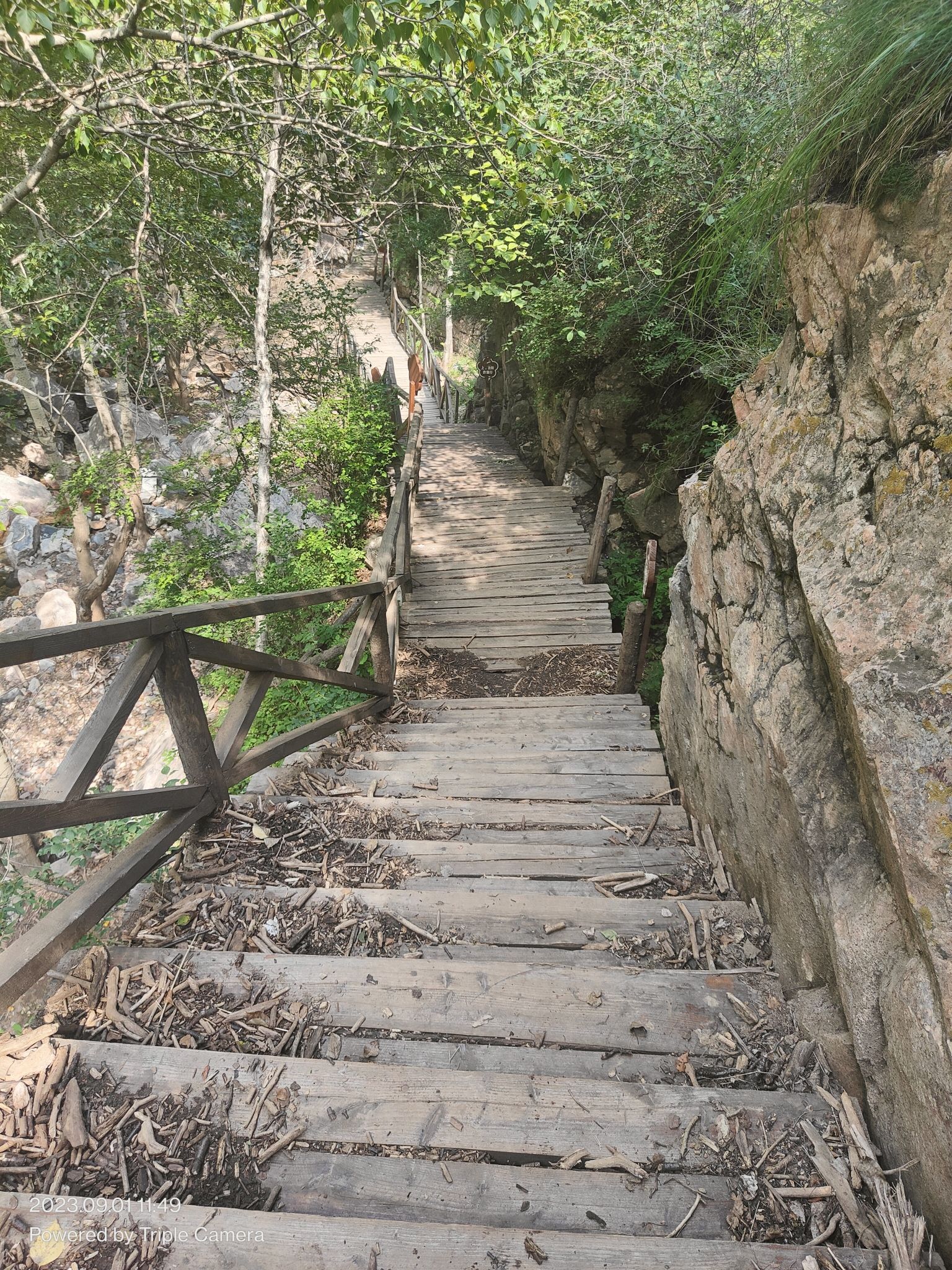 山阴蝴蝶谷旅行图片 1