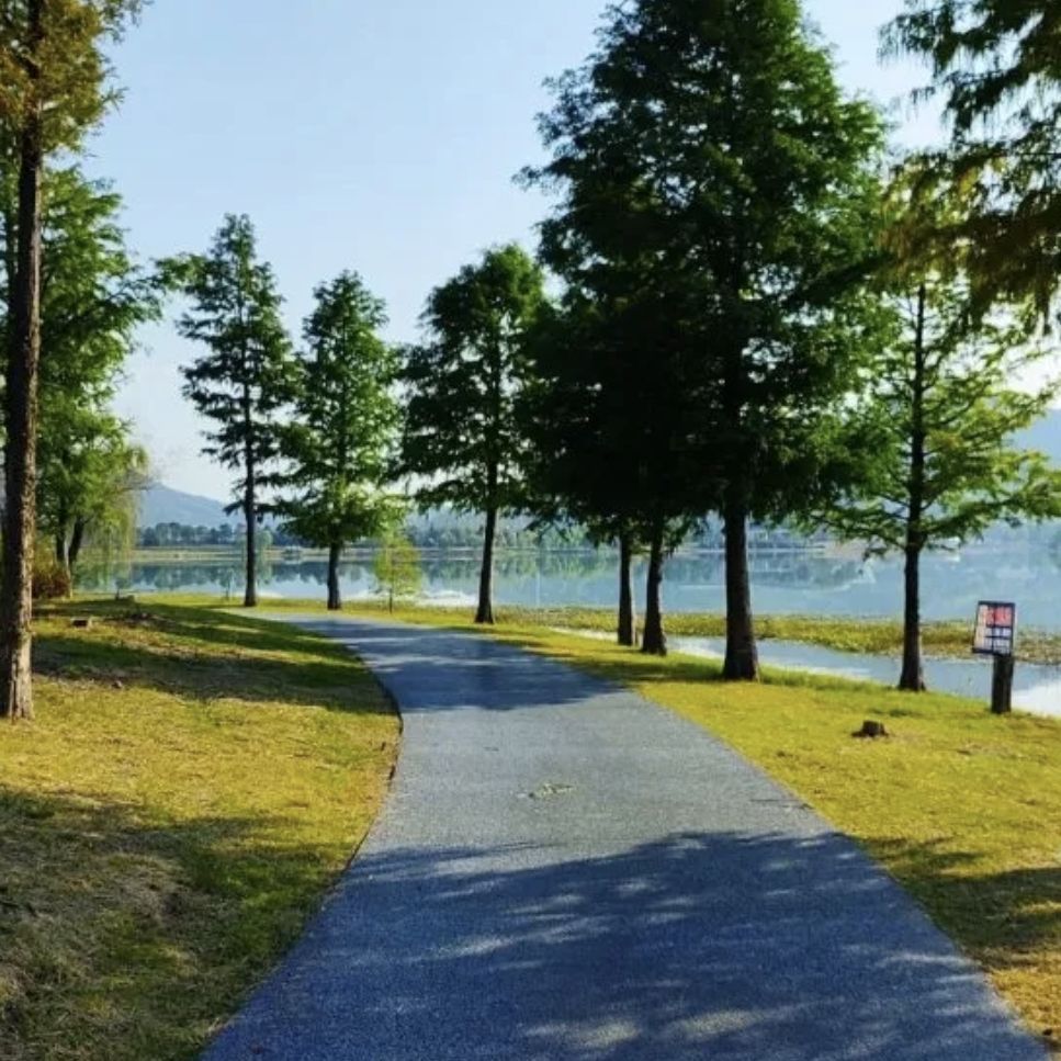 昭山仰天湖湿地公园旅行图片 2
