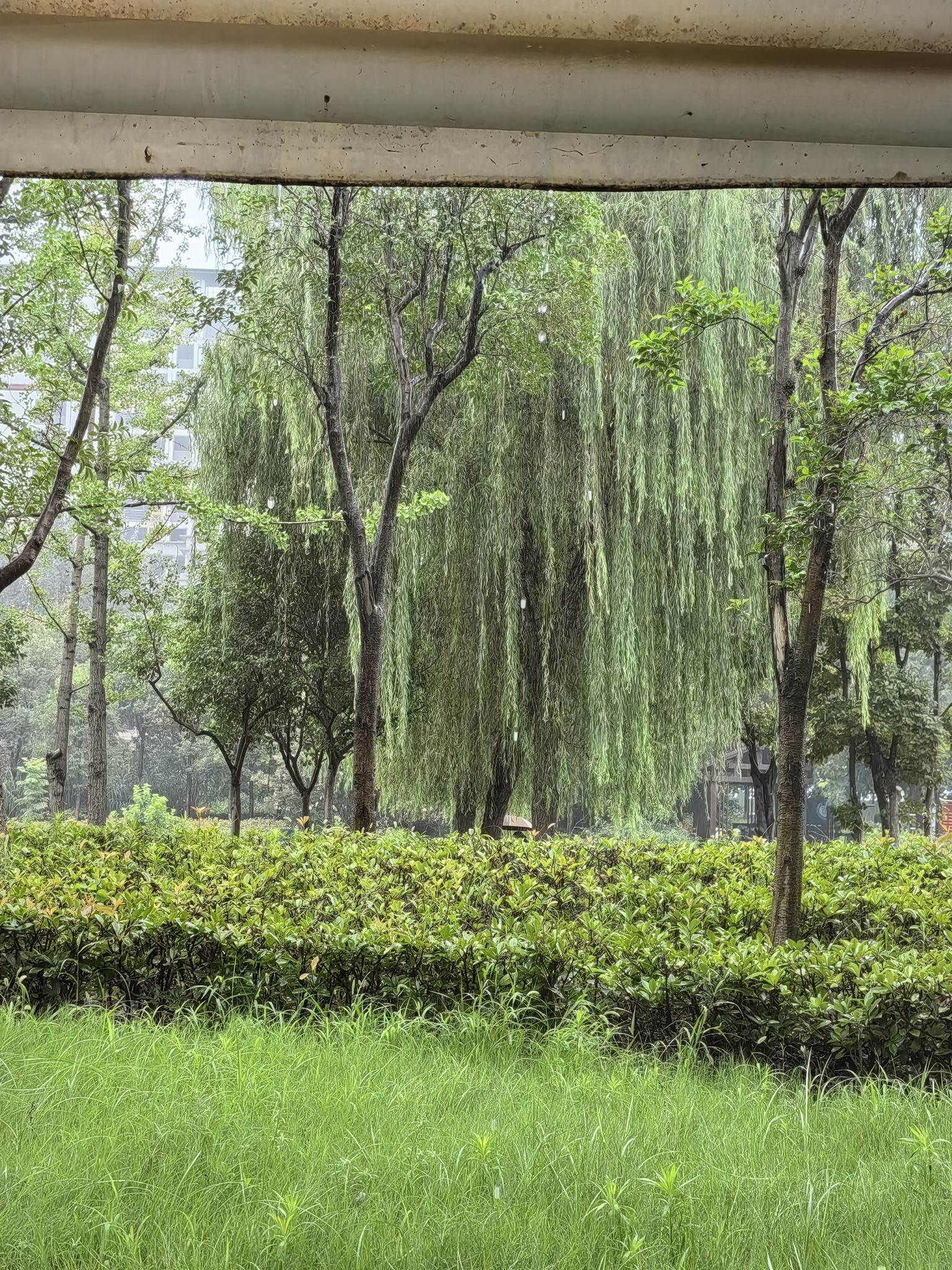 康平河森林公园旅行图片 3