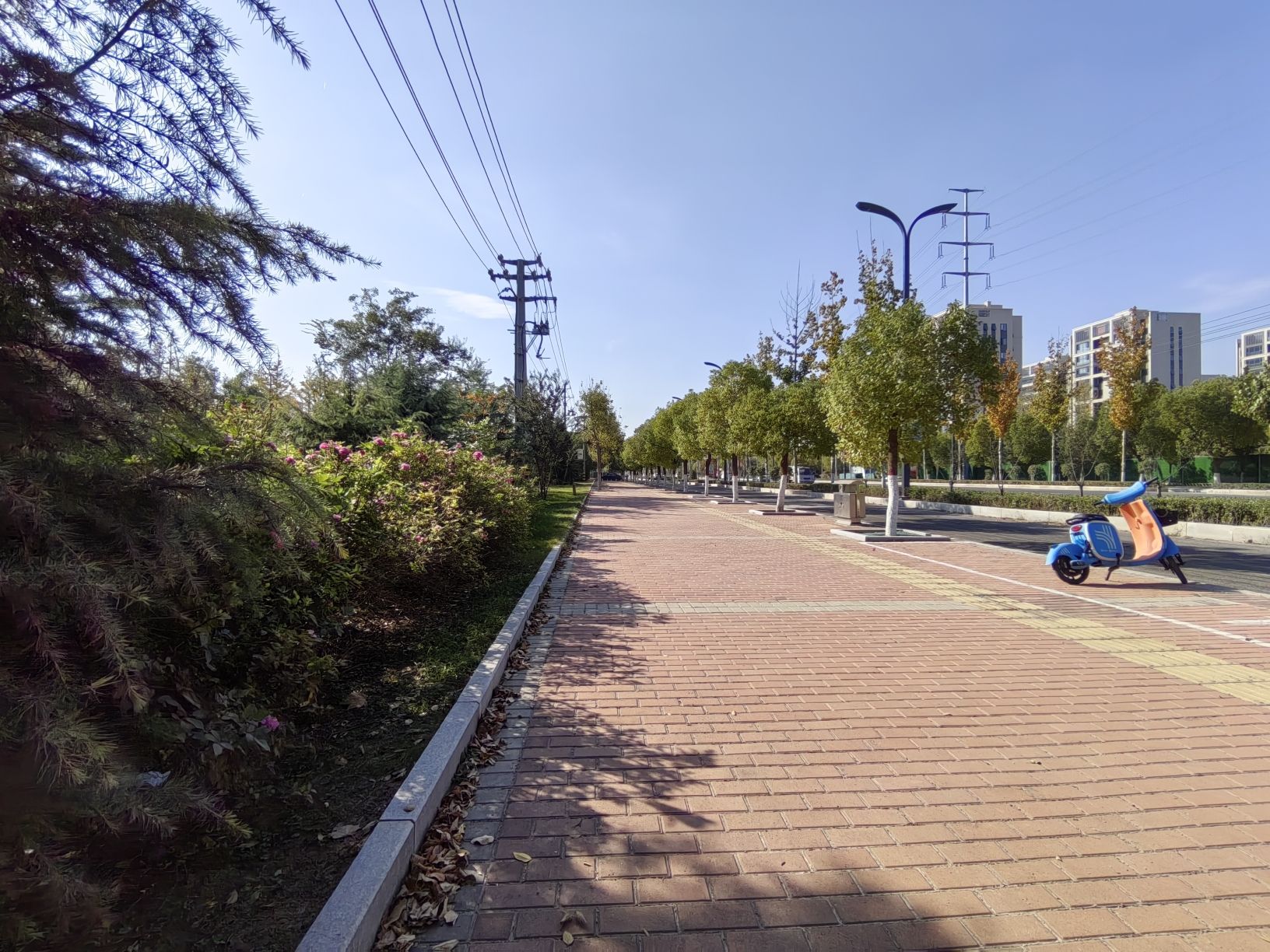 康平河森林公园旅行图片 2