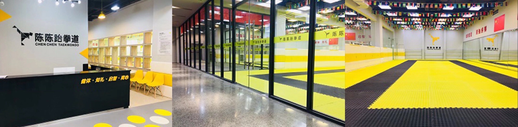 场地封面-陈陈跆拳道