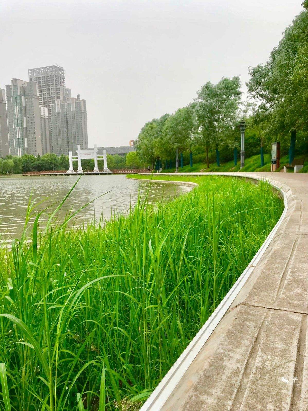 兴洛湖公园旅行图片 3