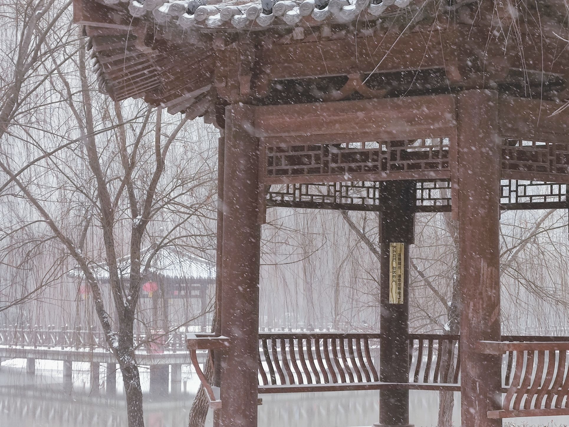 兴洛湖公园旅行图片 3