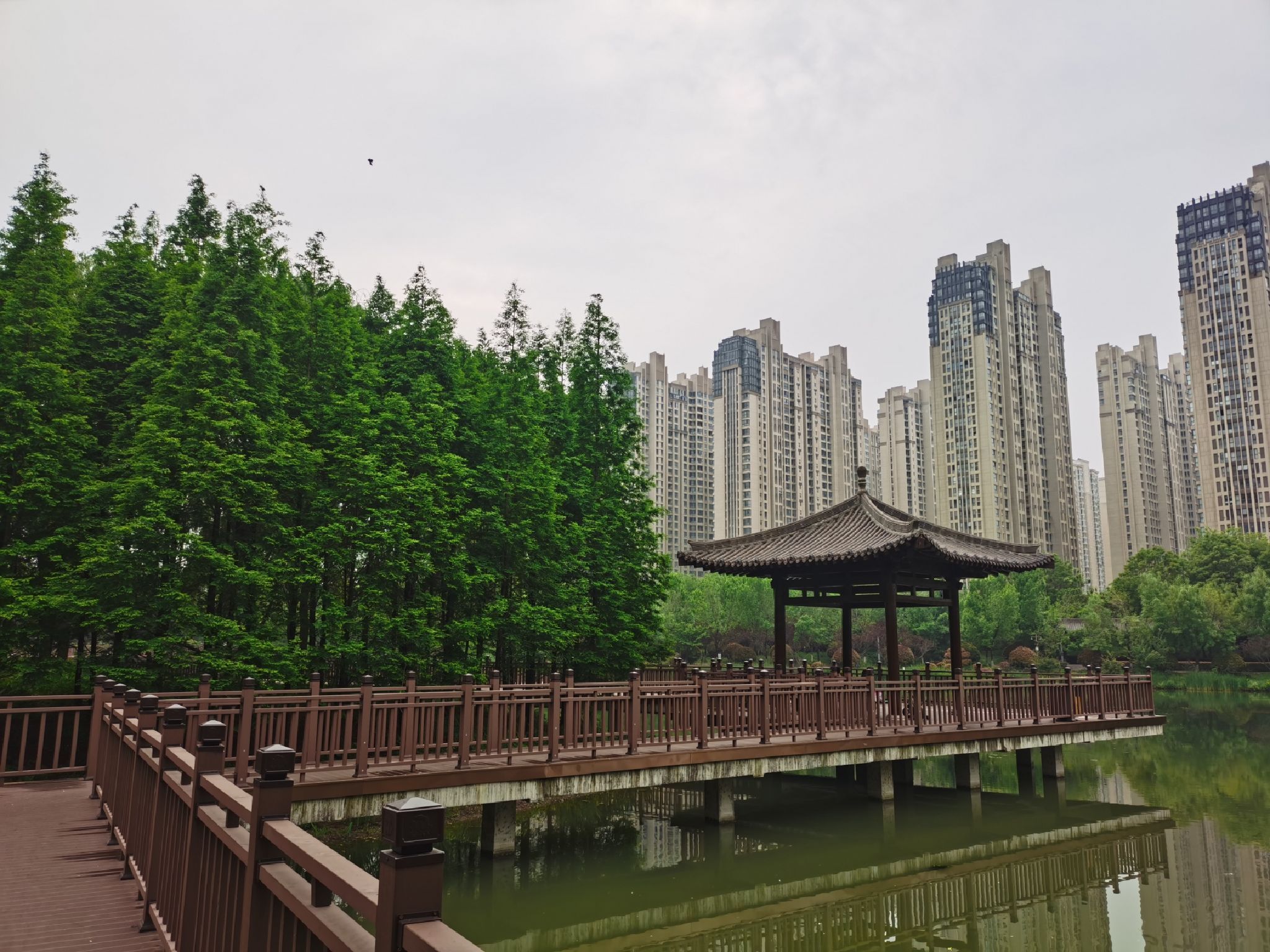 兴洛湖公园旅行图片 3