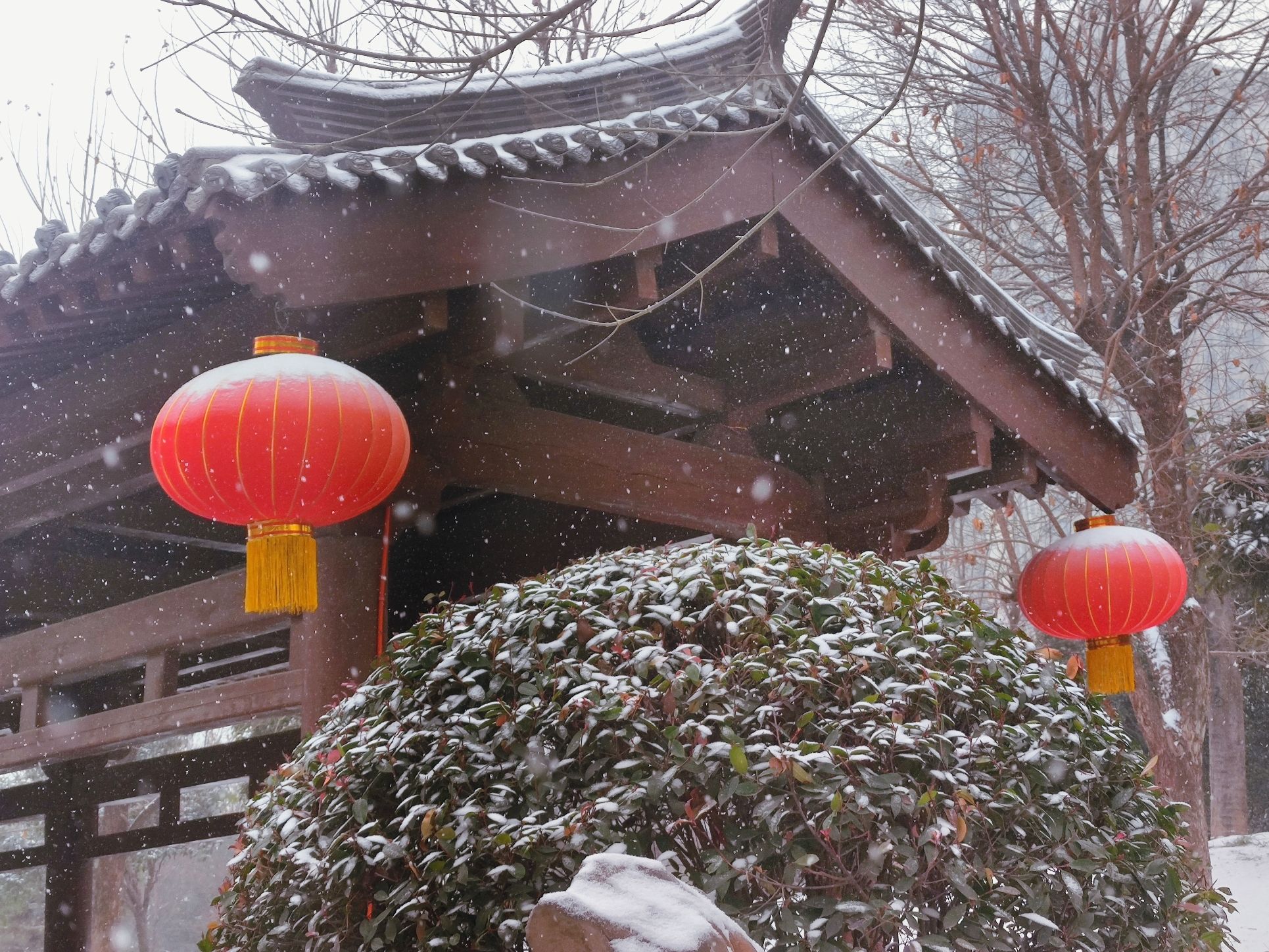 兴洛湖公园旅行图片 2
