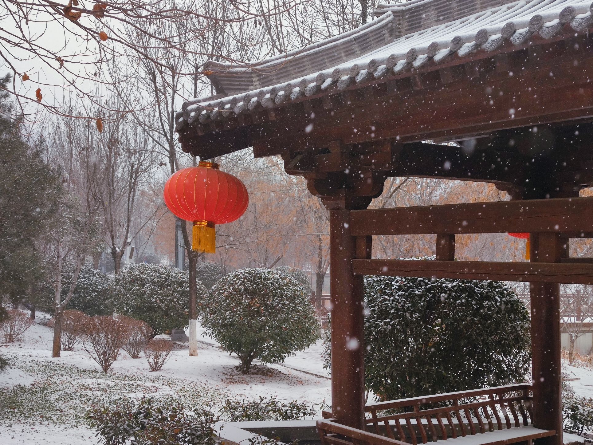 兴洛湖公园旅行图片 1