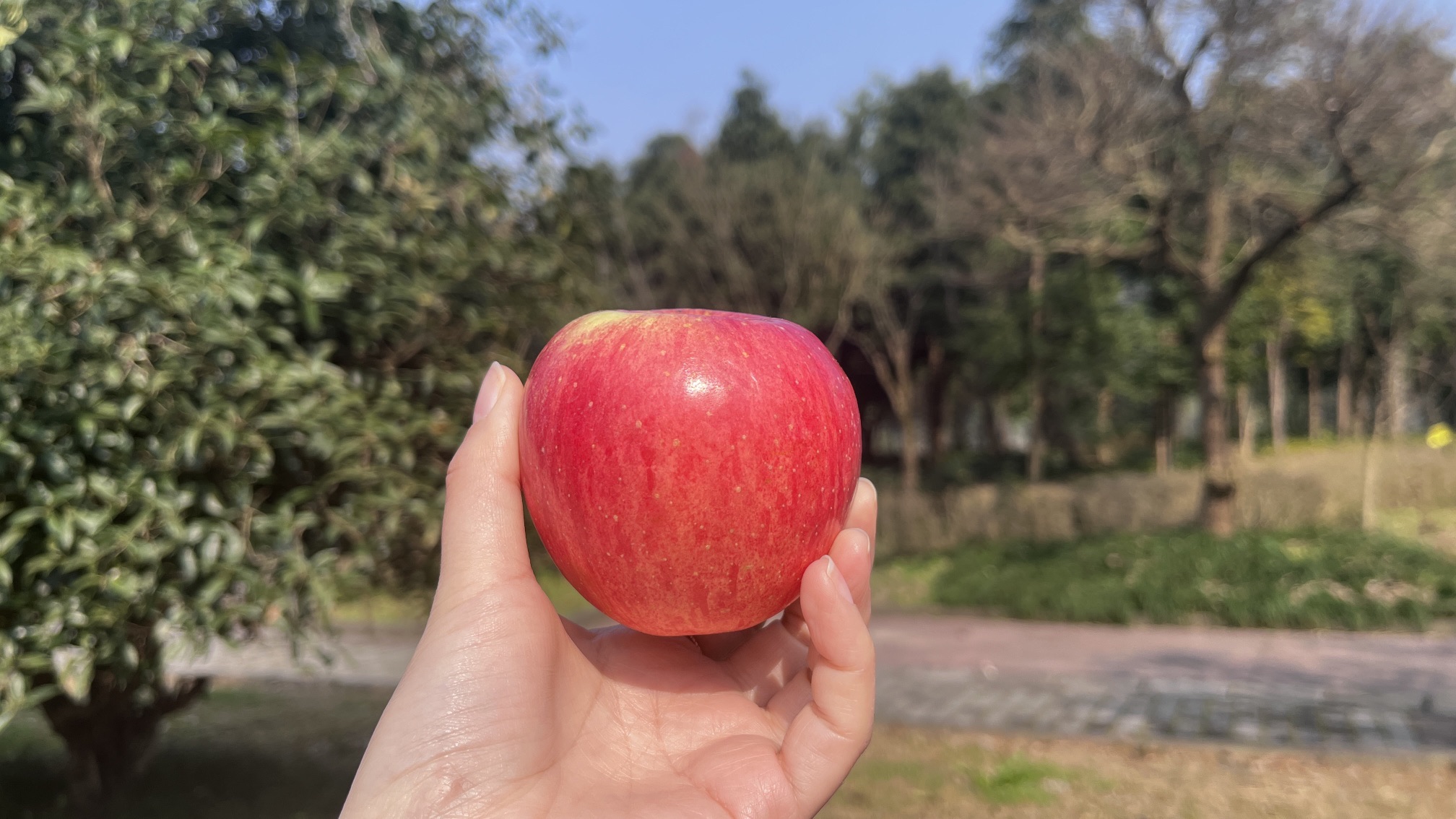 渠县流江河湿地公园旅行图片 2