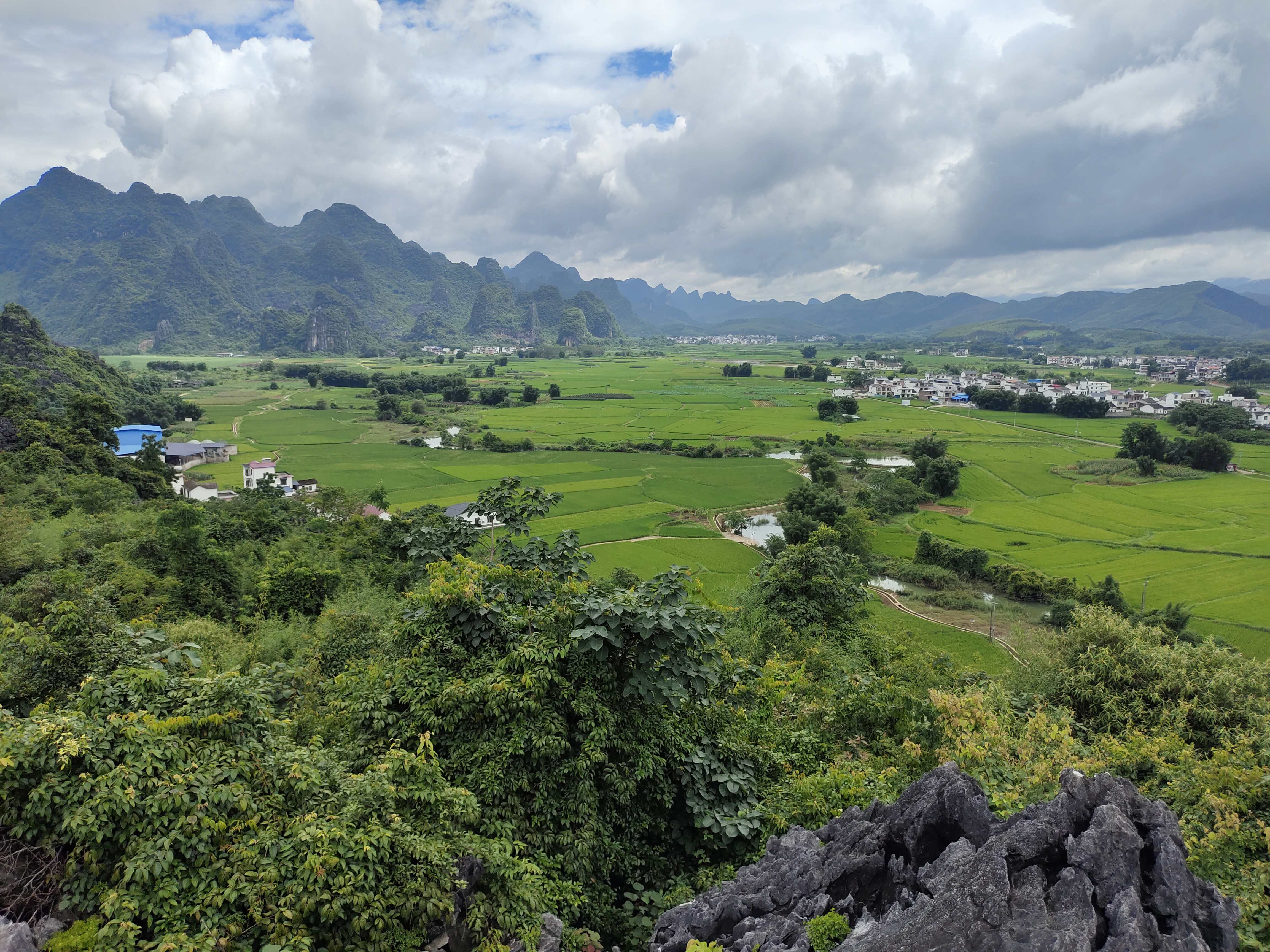 稻花香里乡村旅游区旅行图片 3