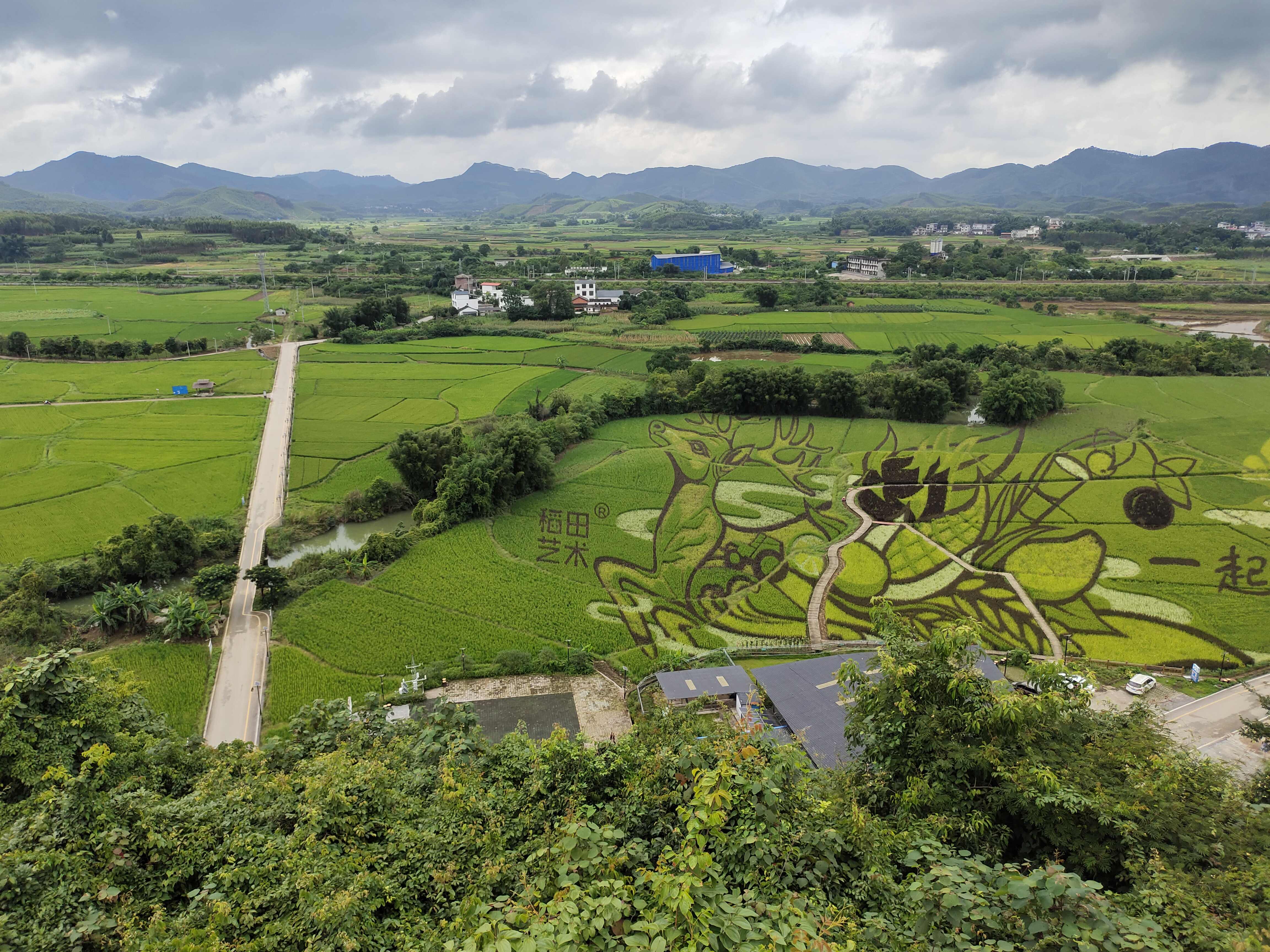稻花香里乡村旅游区旅行图片 1