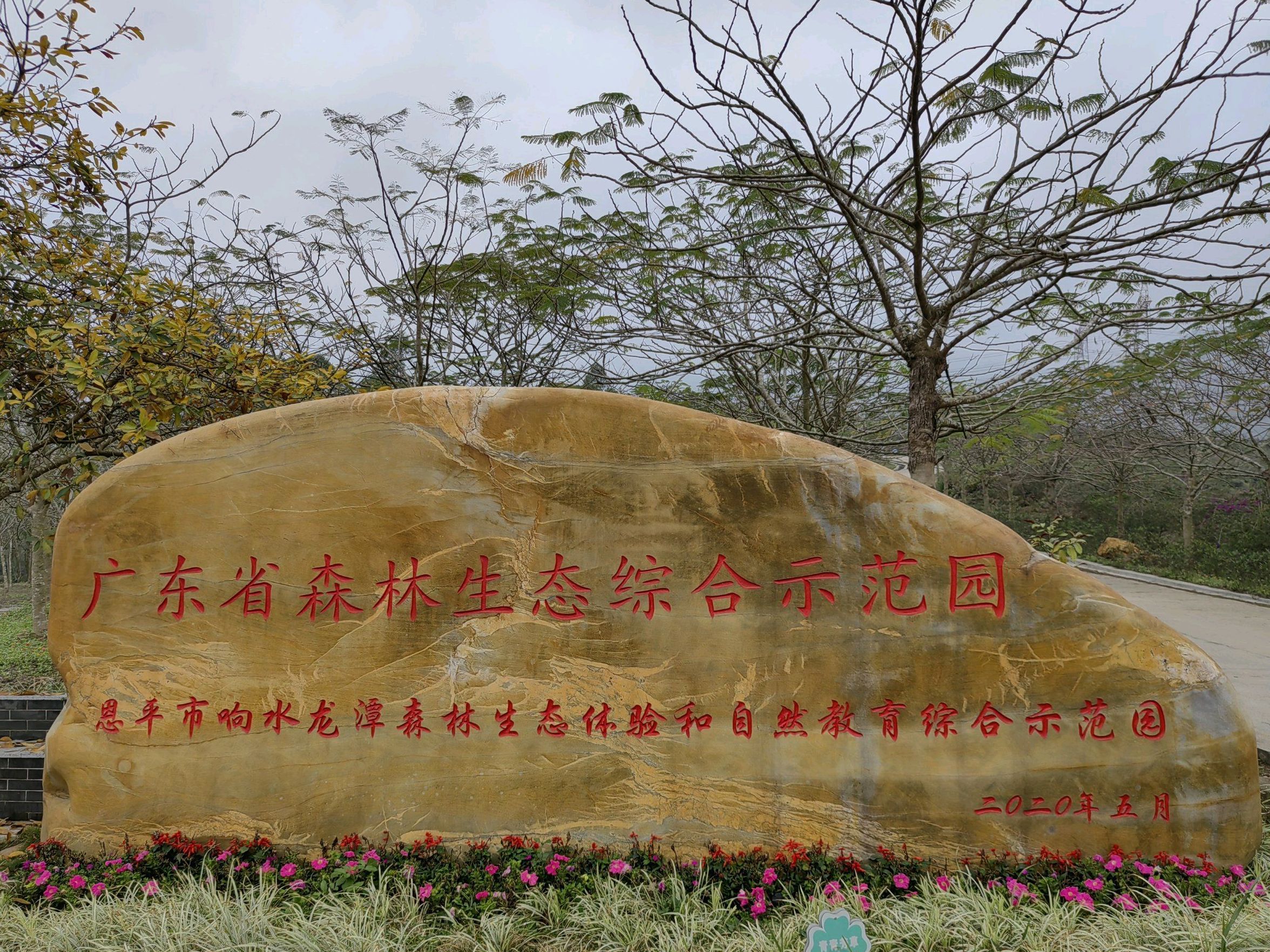 响水龙潭森林公园(暂停开放)旅行图片 1