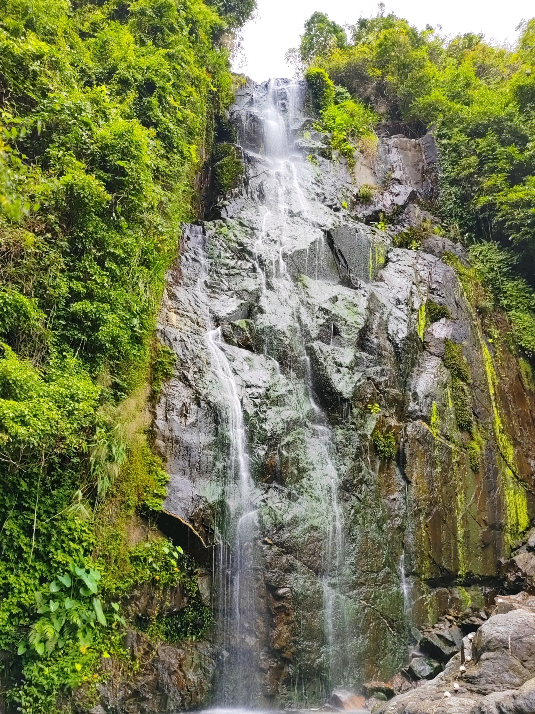 响水龙潭森林公园(暂停开放)旅行图片 2