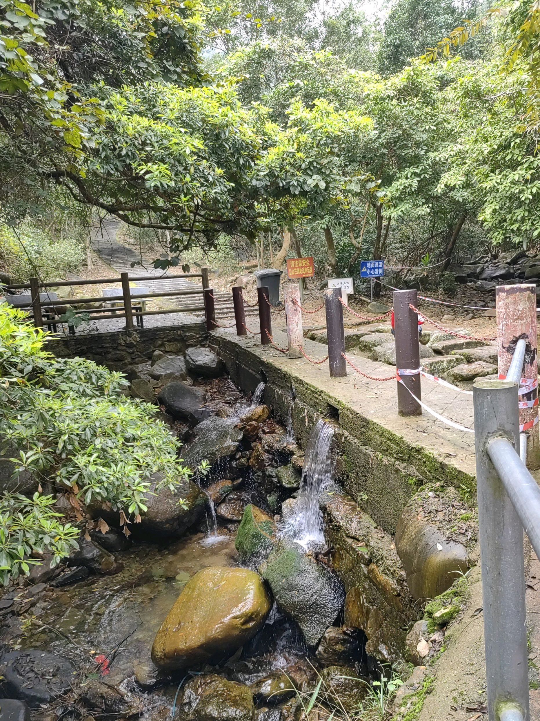 响水龙潭森林公园(暂停开放)旅行图片 3