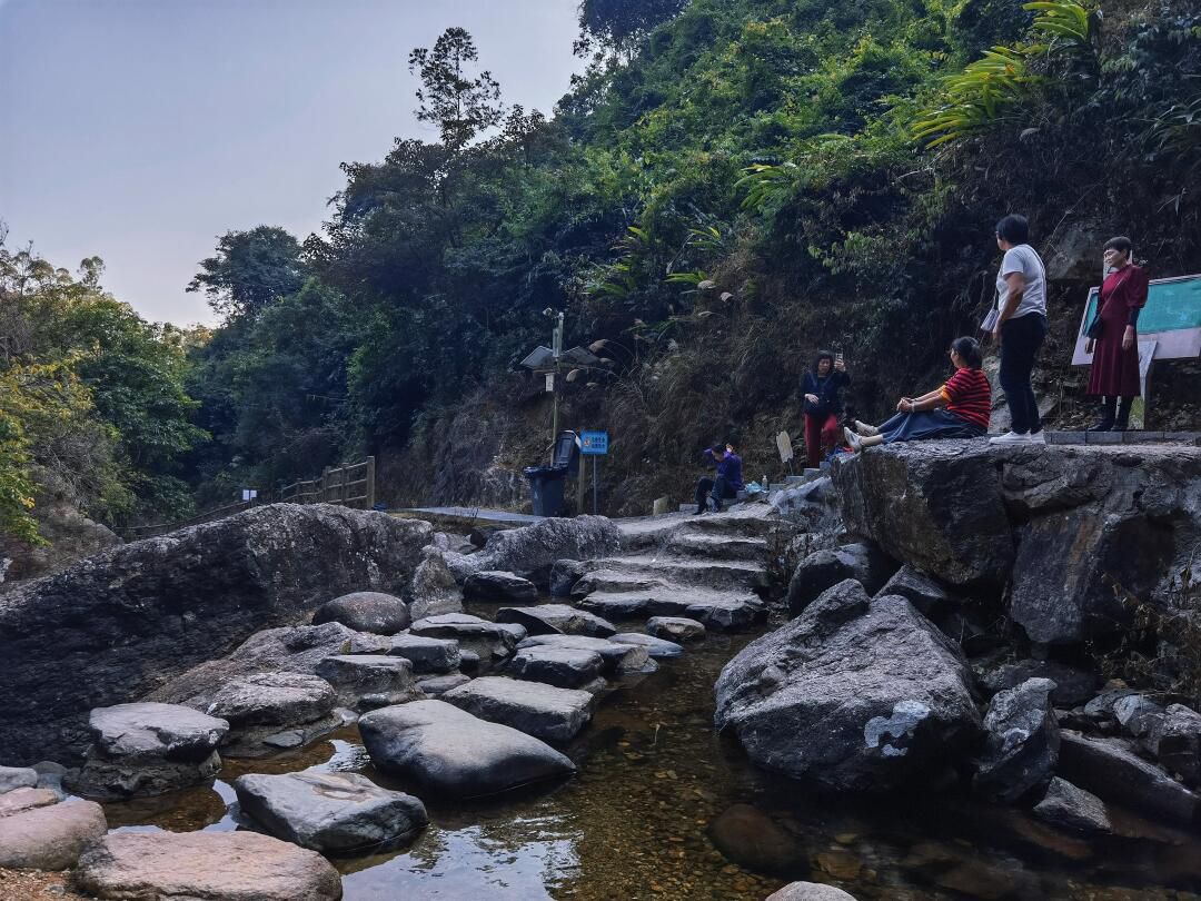 响水龙潭森林公园(暂停开放)旅行图片 1