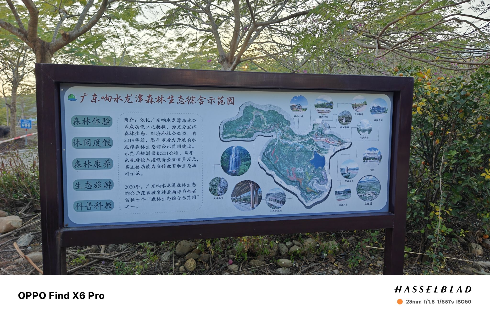 响水龙潭森林公园(暂停开放)旅行图片 2