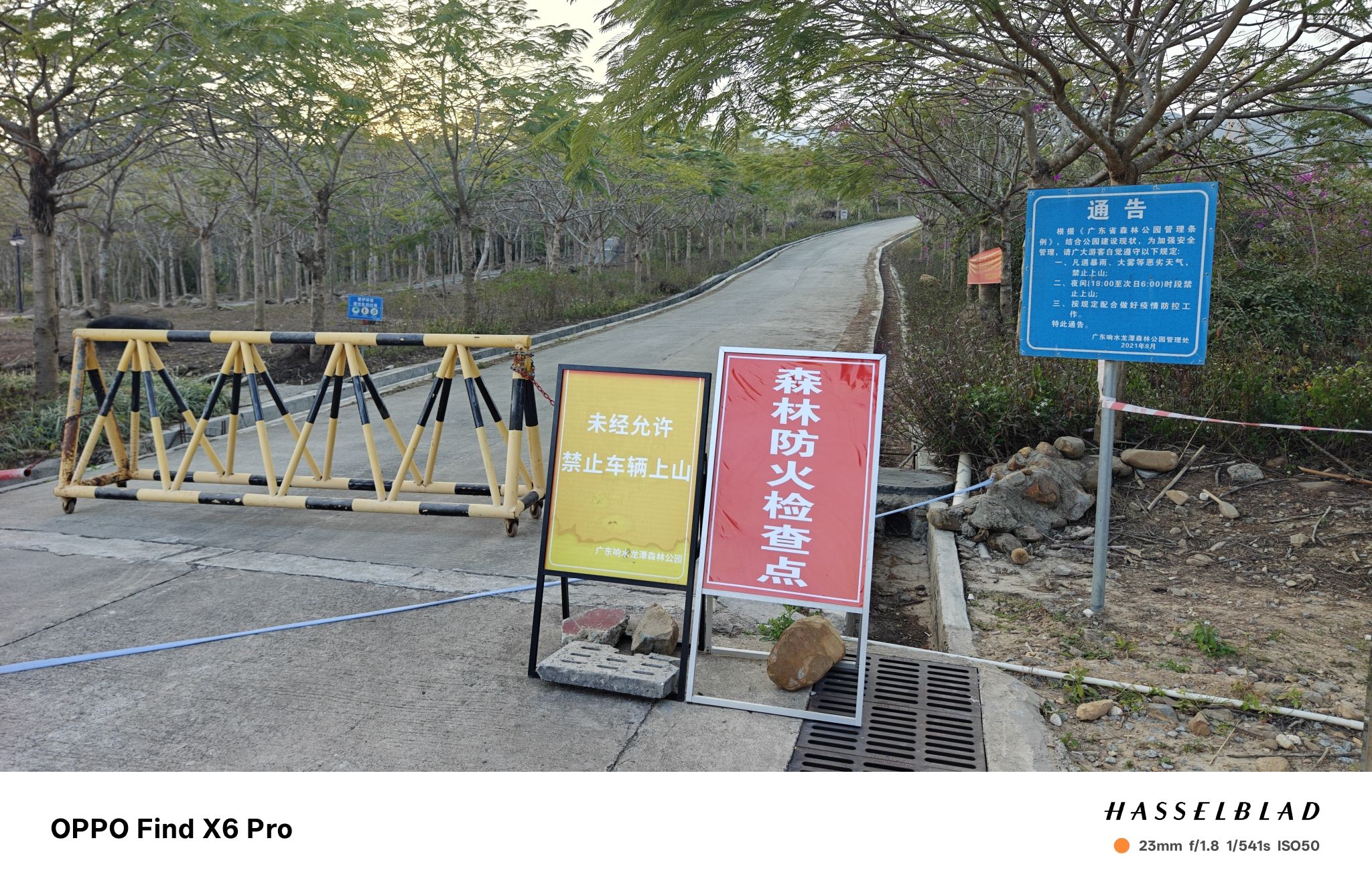 响水龙潭森林公园(暂停开放)旅行图片 1
