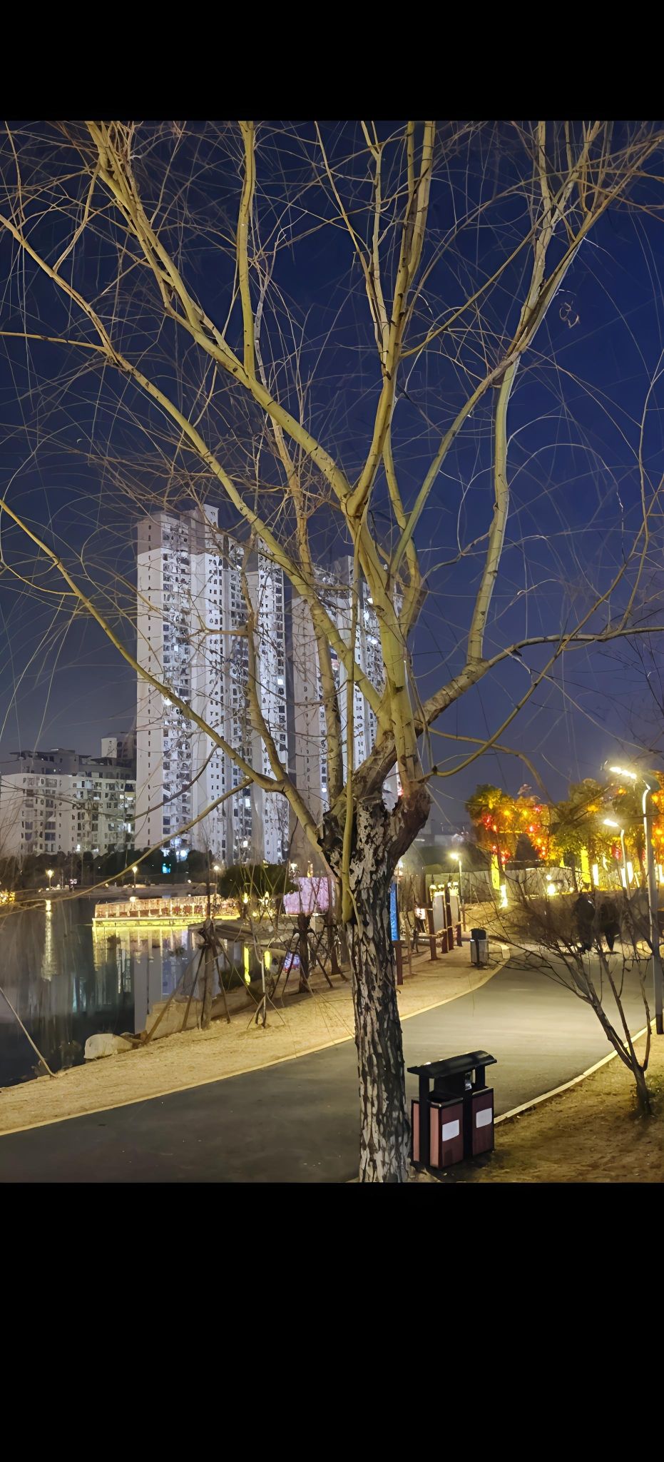 龙珠湖公园旅行图片 2