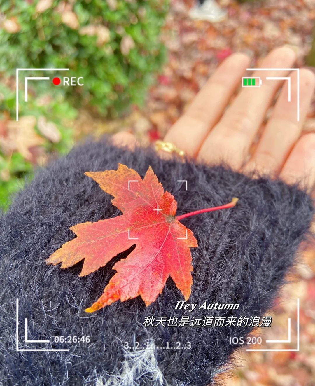 横山花湖景区旅行图片 2