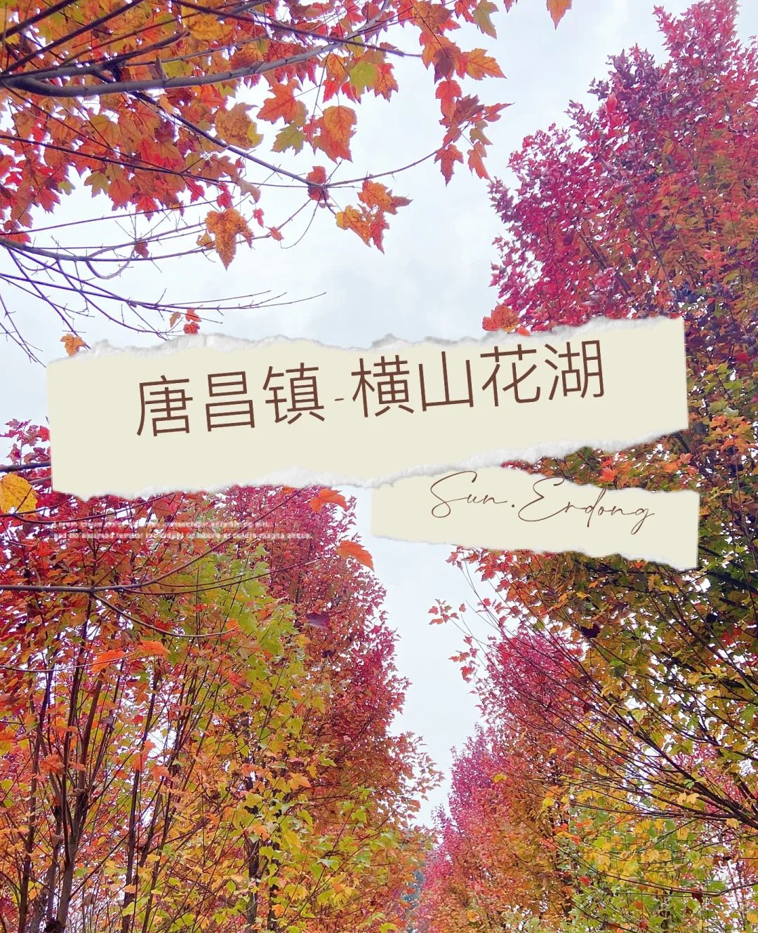 横山花湖景区旅行图片 1