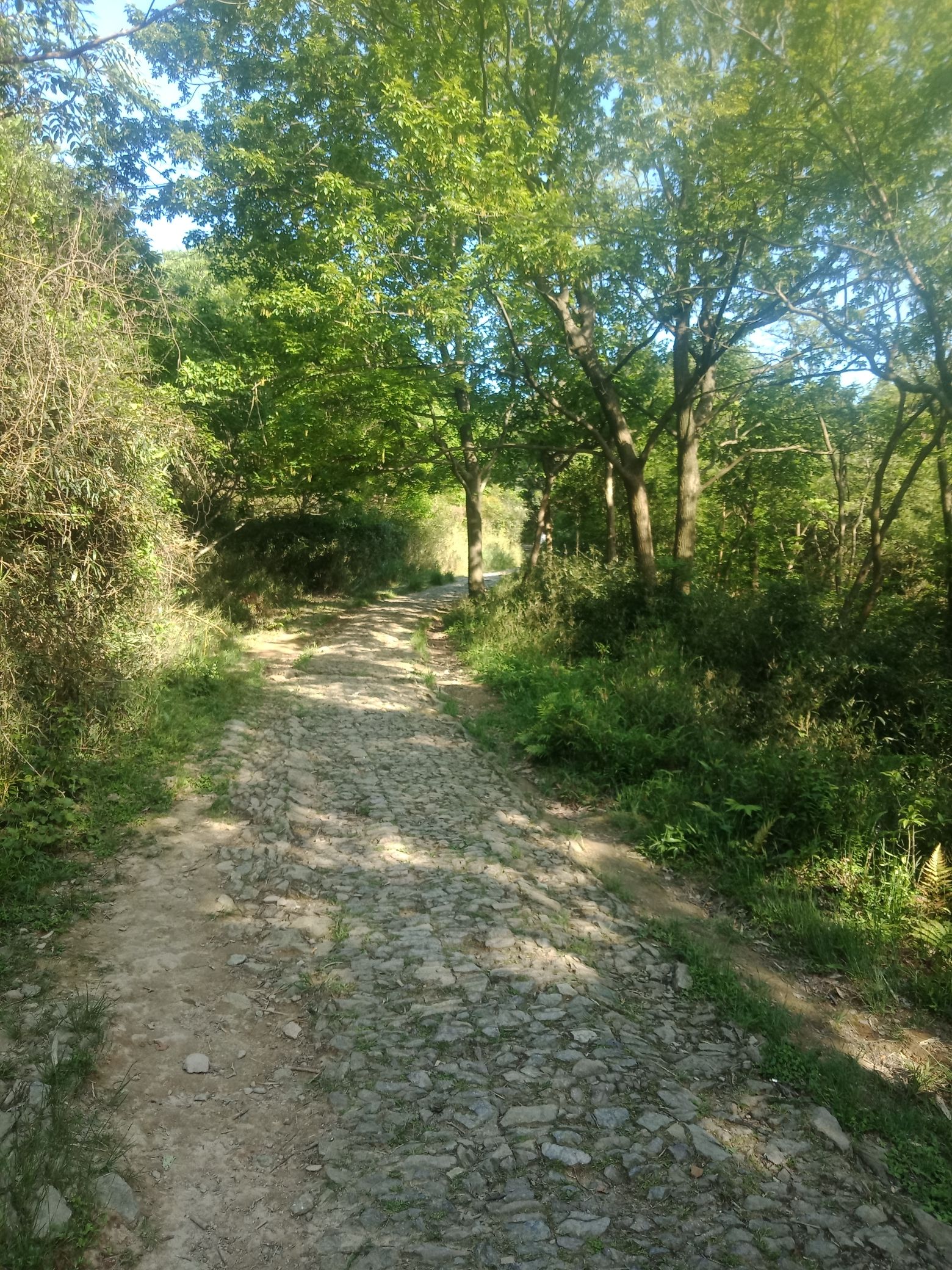 松石岭古道旅行图片 2