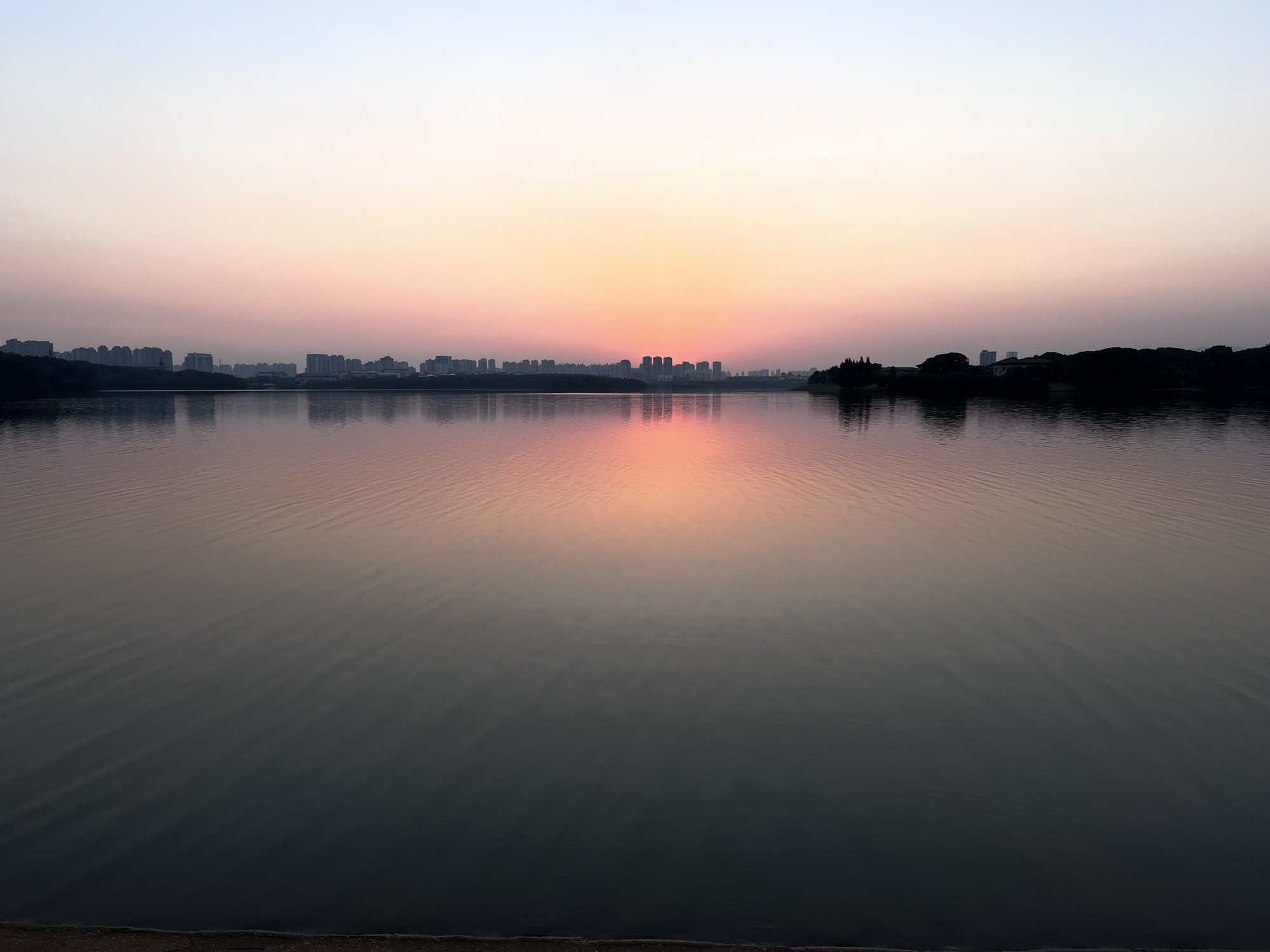 前湖公园旅行图片 3