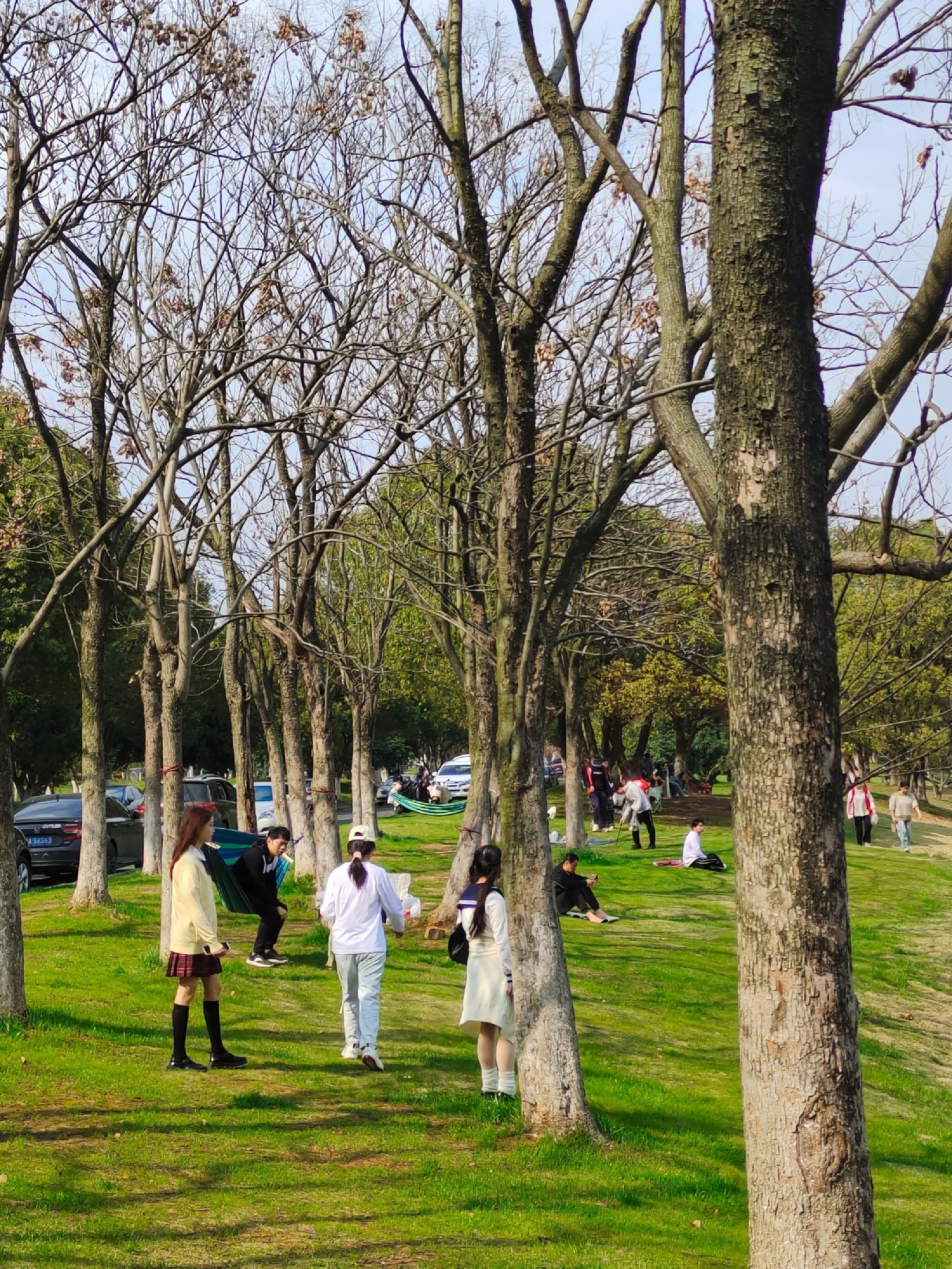 前湖公园旅行图片 2