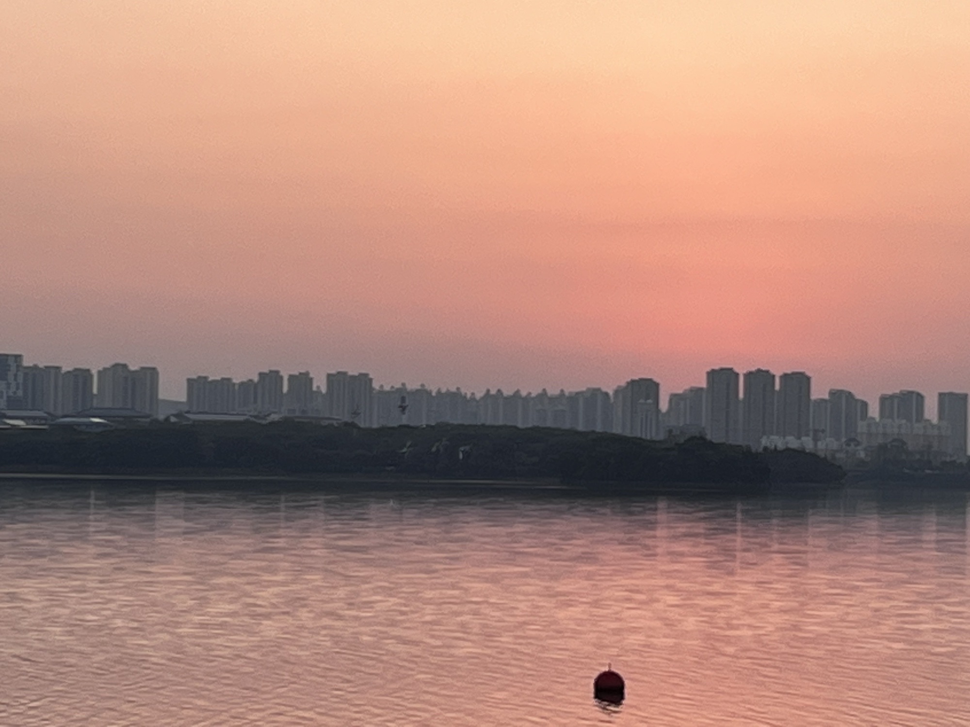 前湖公园旅行图片 1