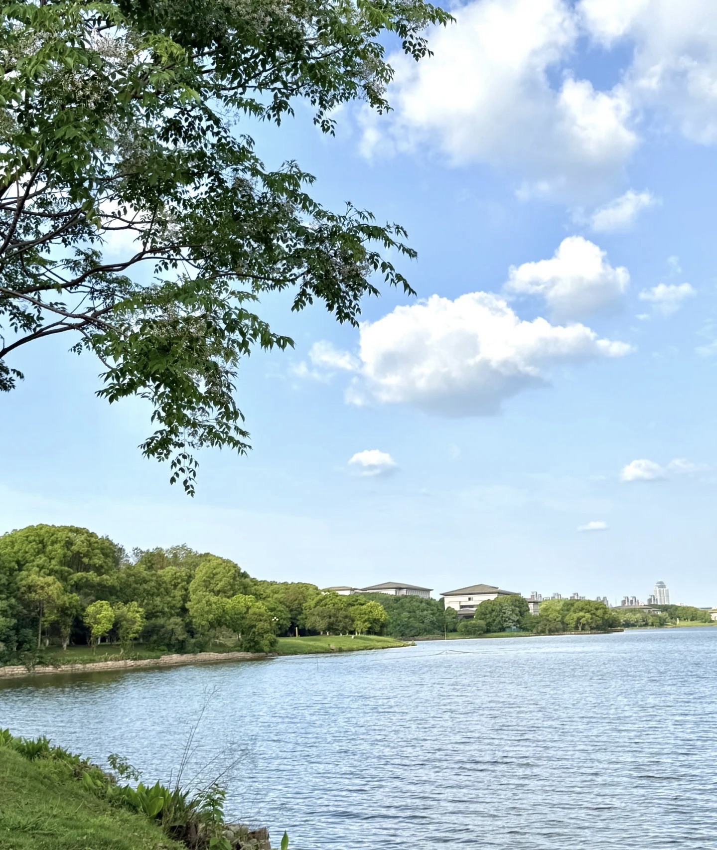 前湖公园旅行图片 2