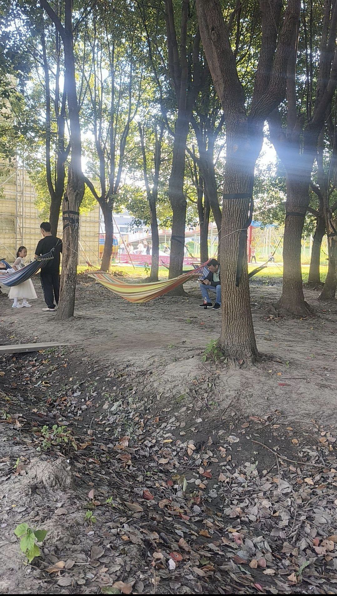 乐百年景区旅行图片 2