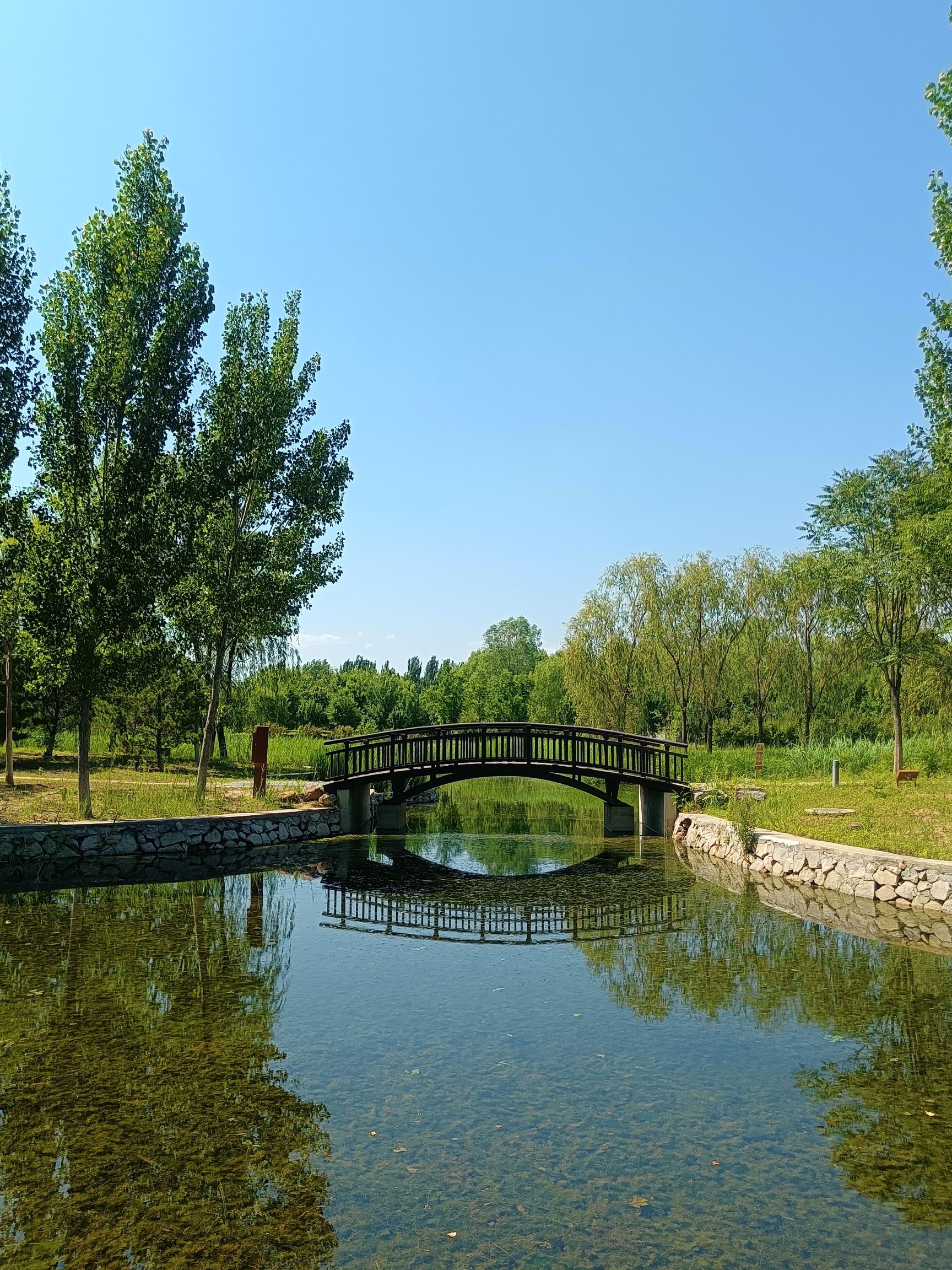 何里栖地公园旅行图片 3