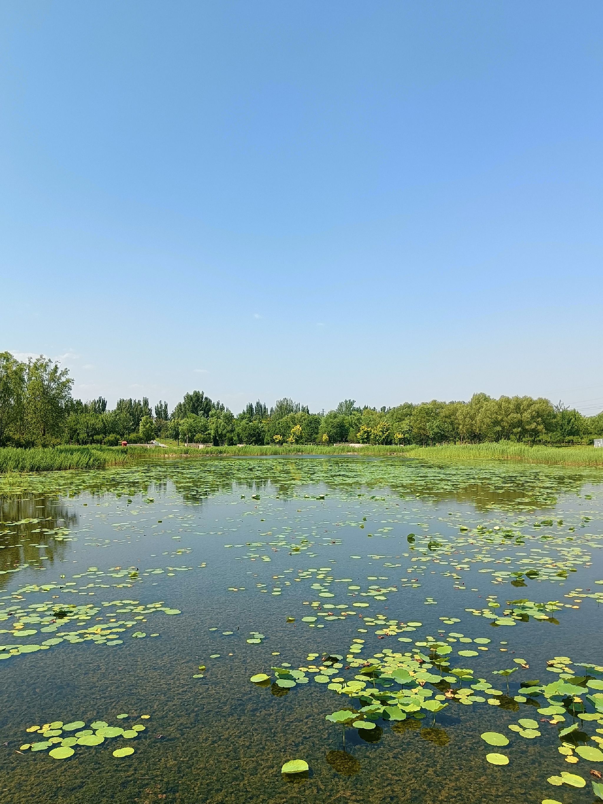 何里栖地公园旅行图片 1