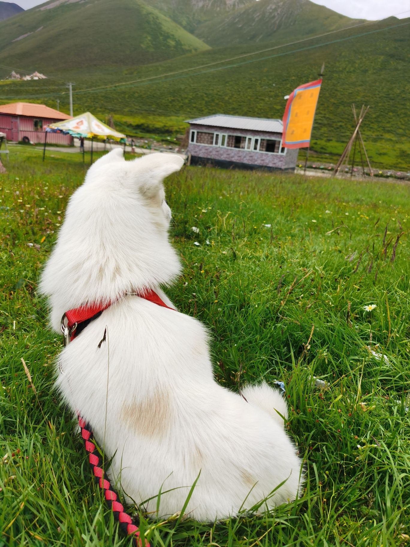 珠日神山旅行图片 2