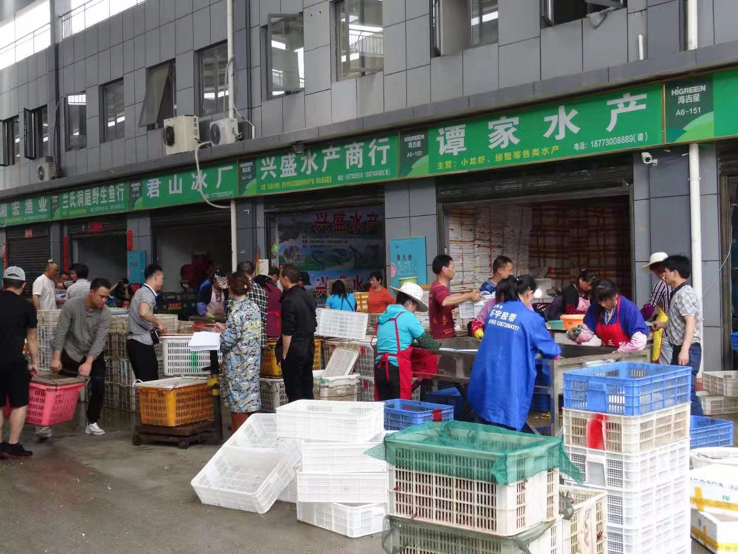 岳阳海吉星国际农产品市场开发有限公司