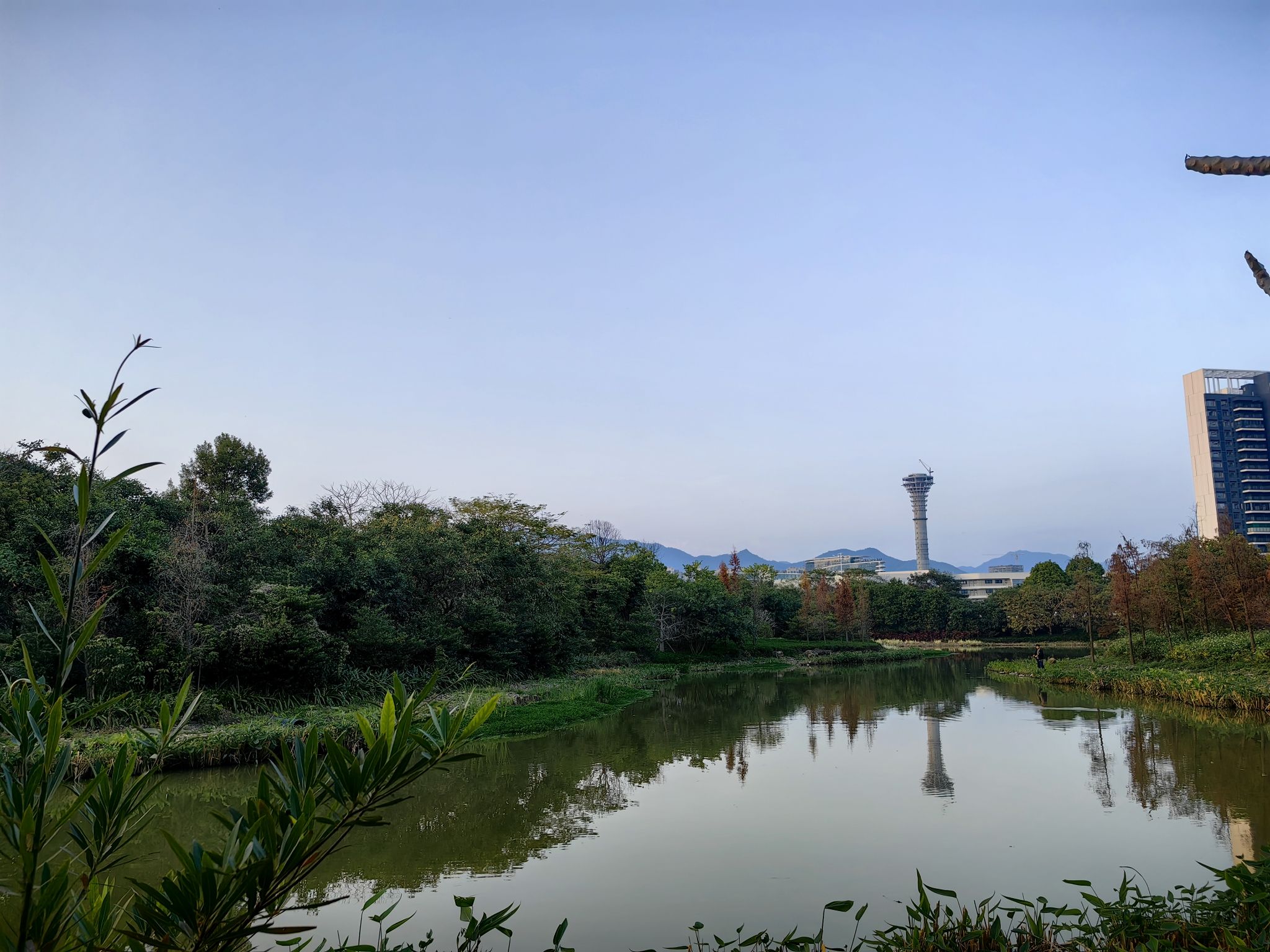 长利涌湿地公园旅行图片 1