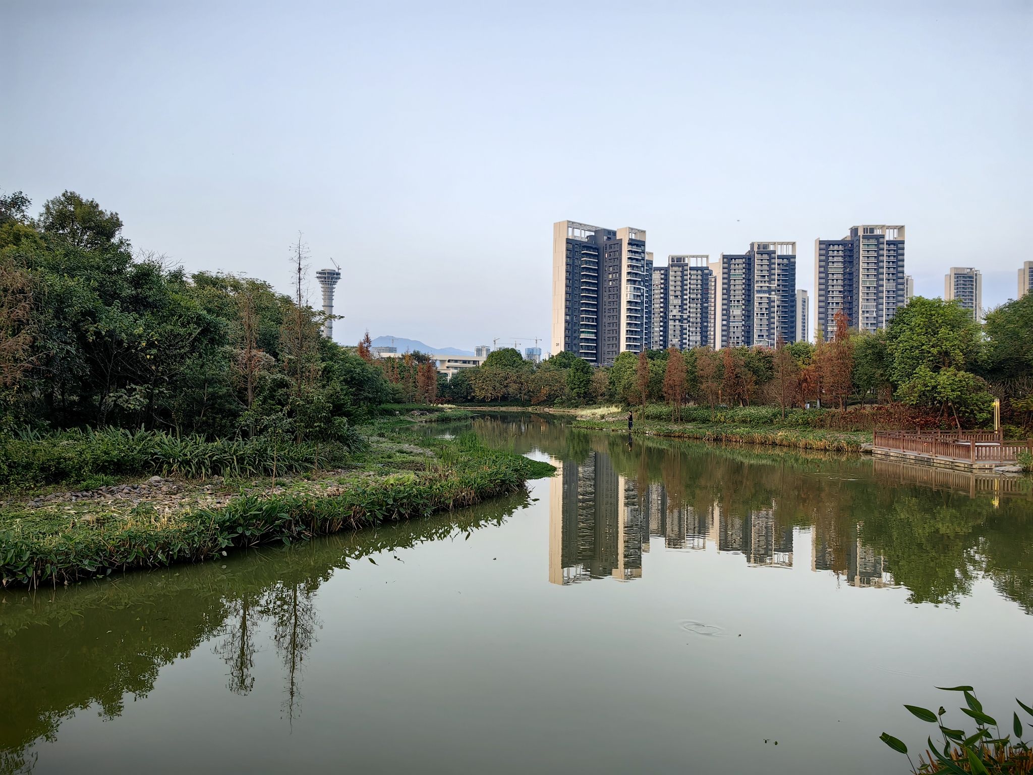 长利涌湿地公园旅行图片 2
