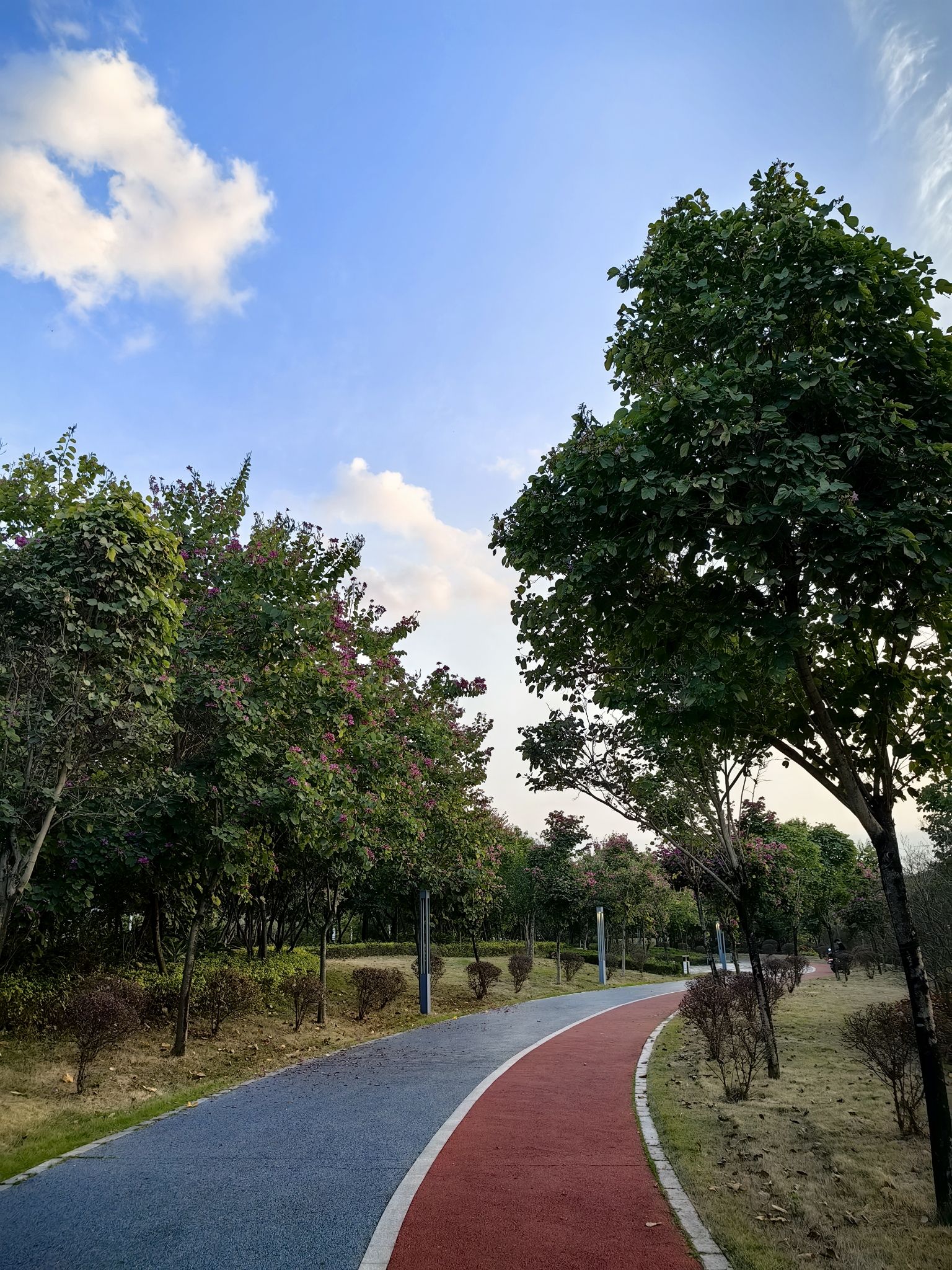 长利涌湿地公园旅行图片 3