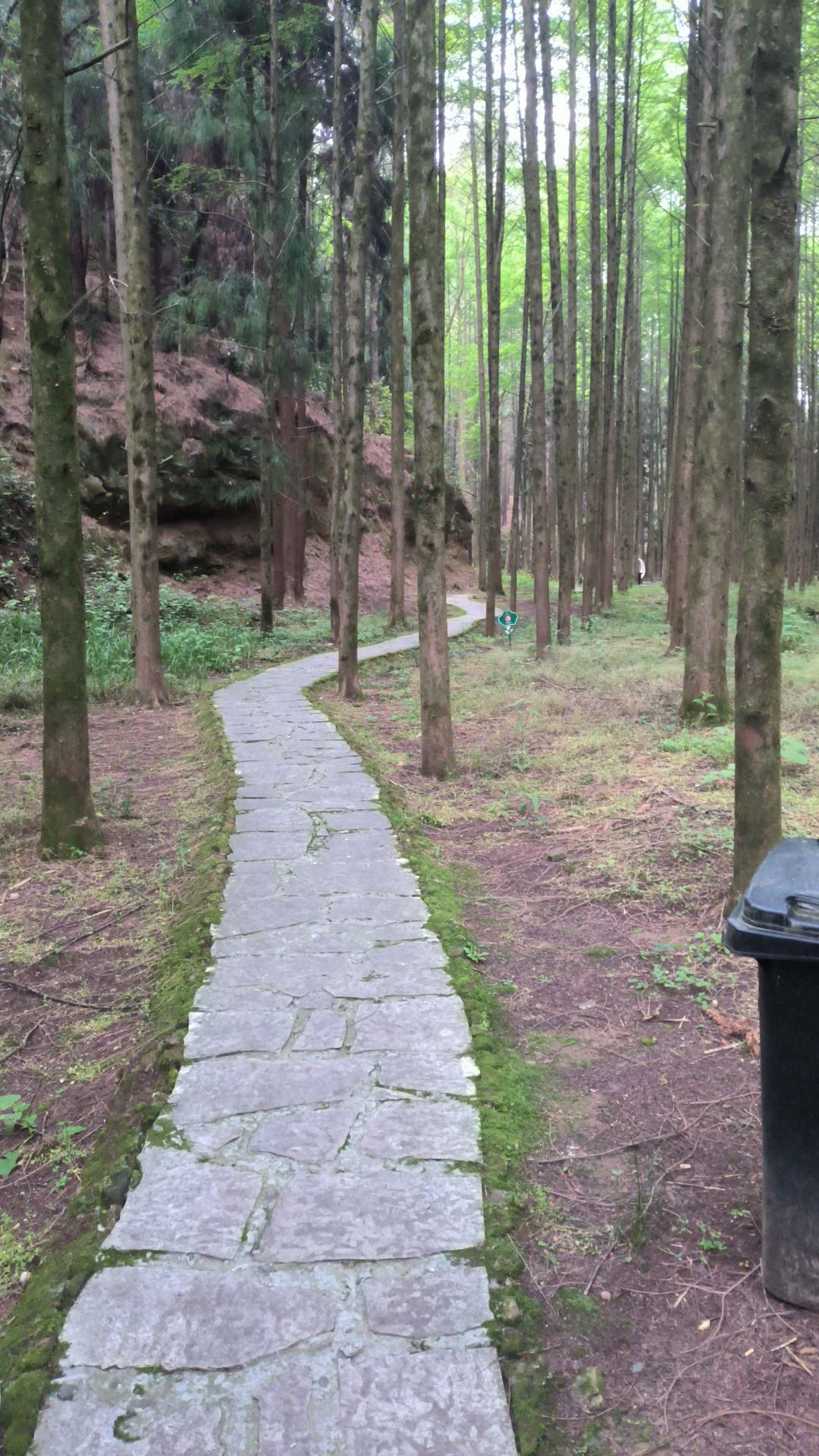 四川苍溪国家森林公园三溪口景区旅行图片 1