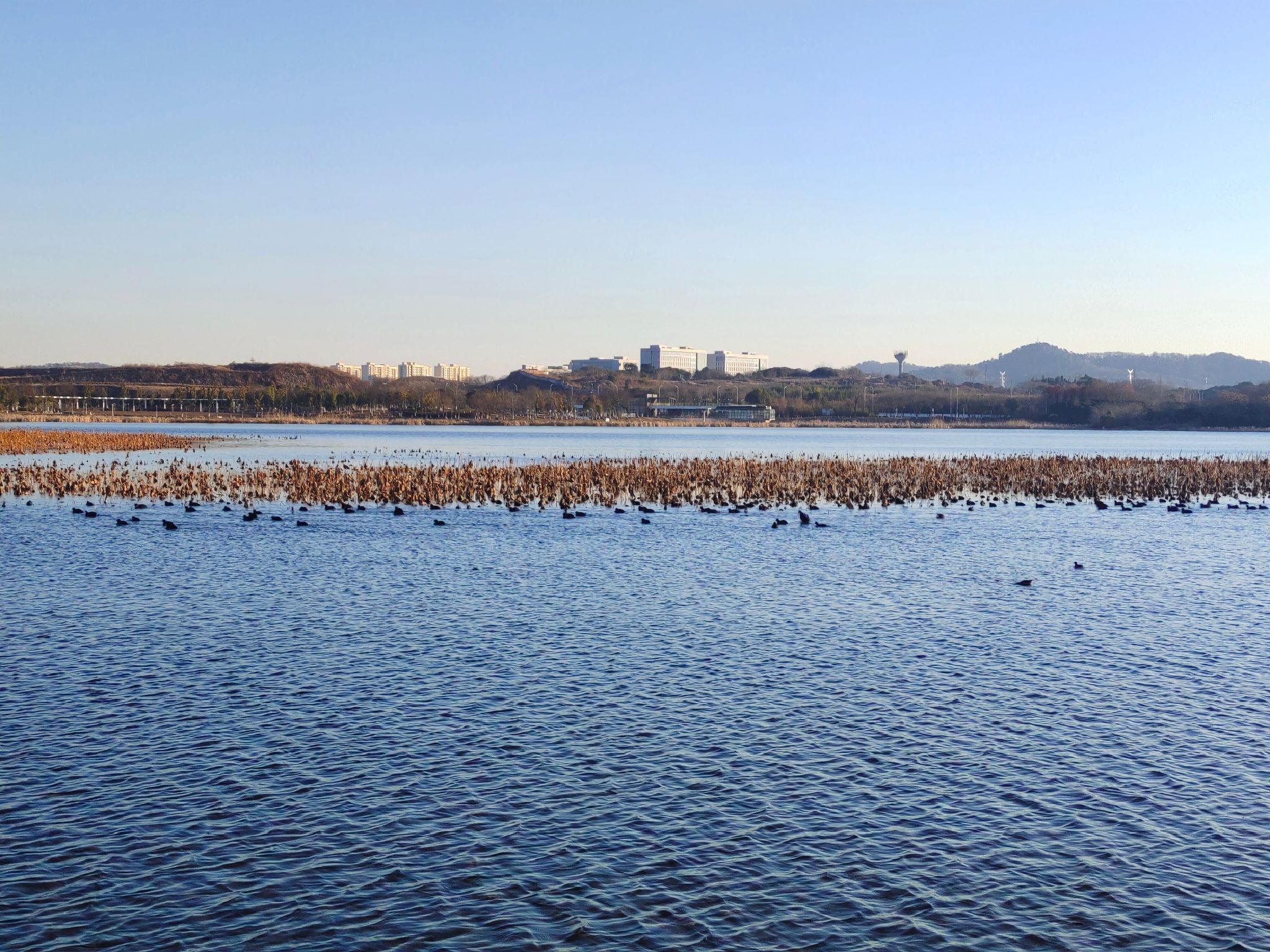 秀山湖公园