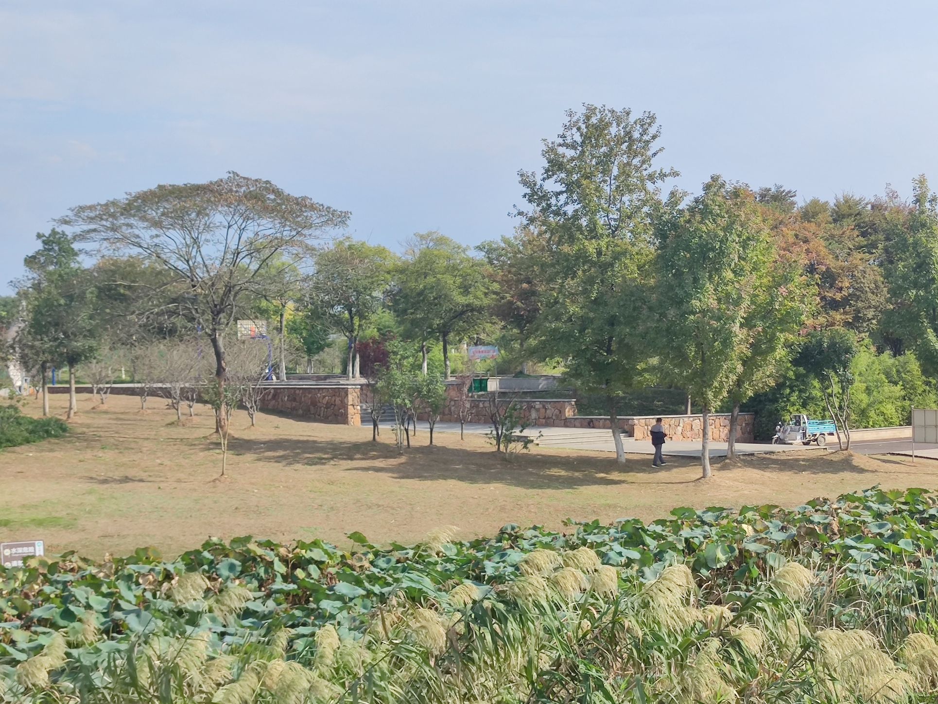 秀山湖公园旅行图片 2