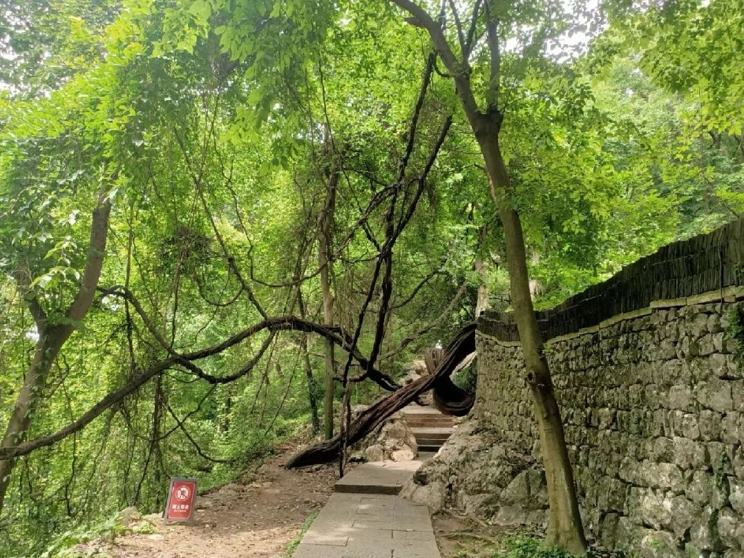 上街玉皇宫旅行图片 3
