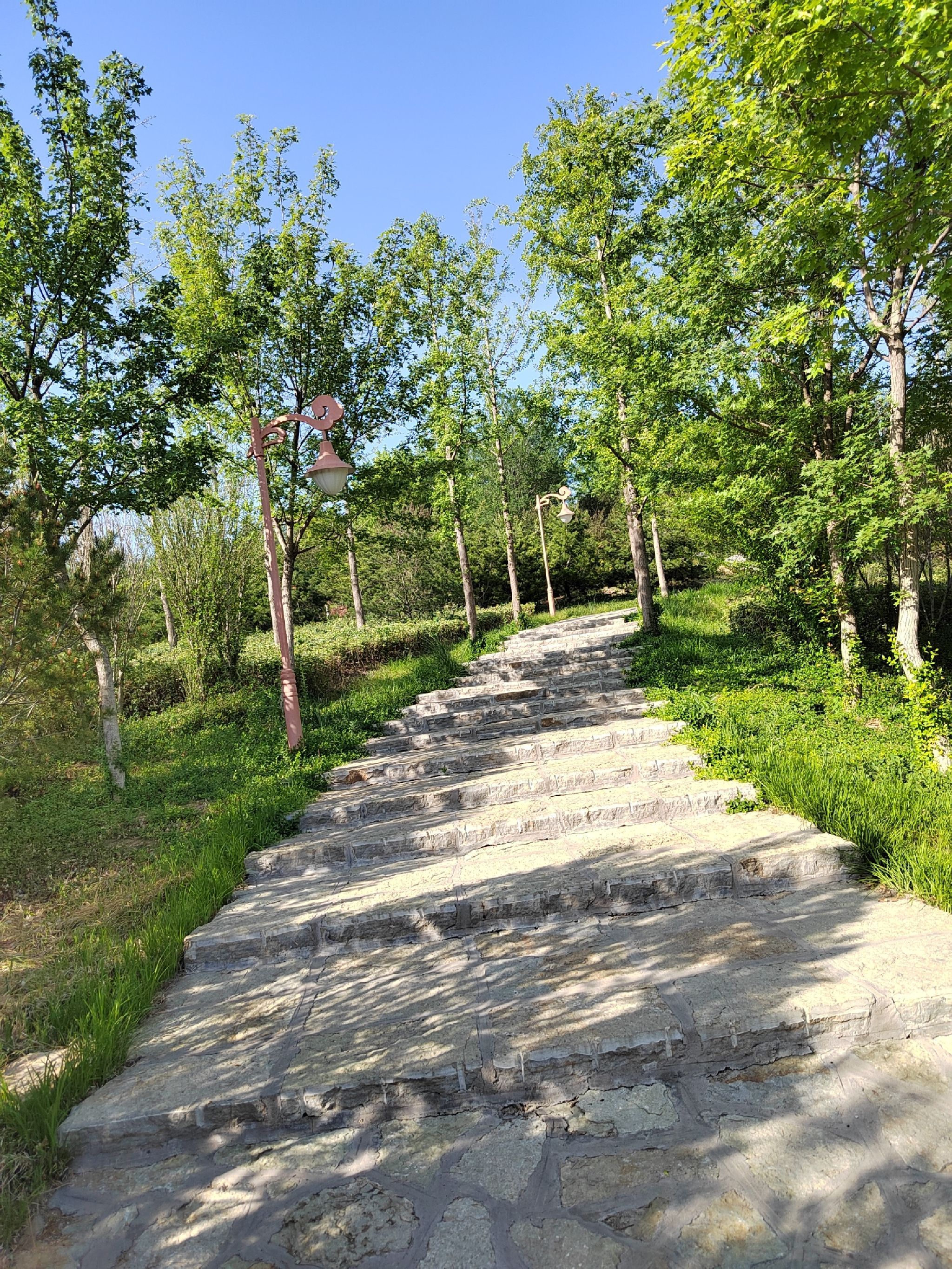 青龙山公园旅行图片 1