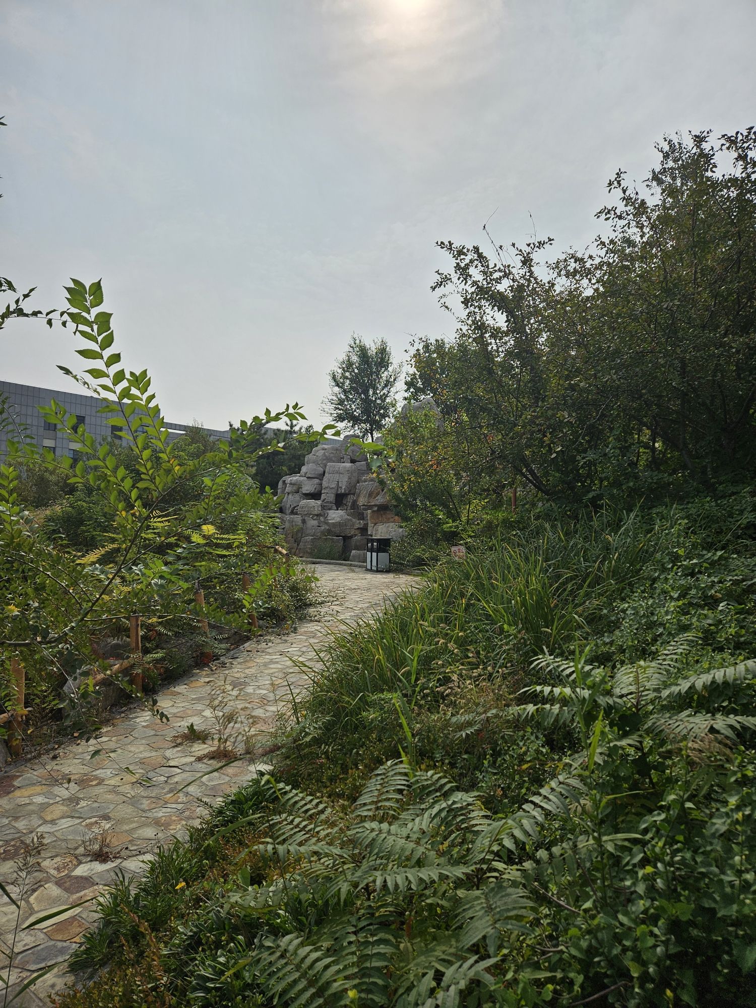 青龙山公园旅行图片 3