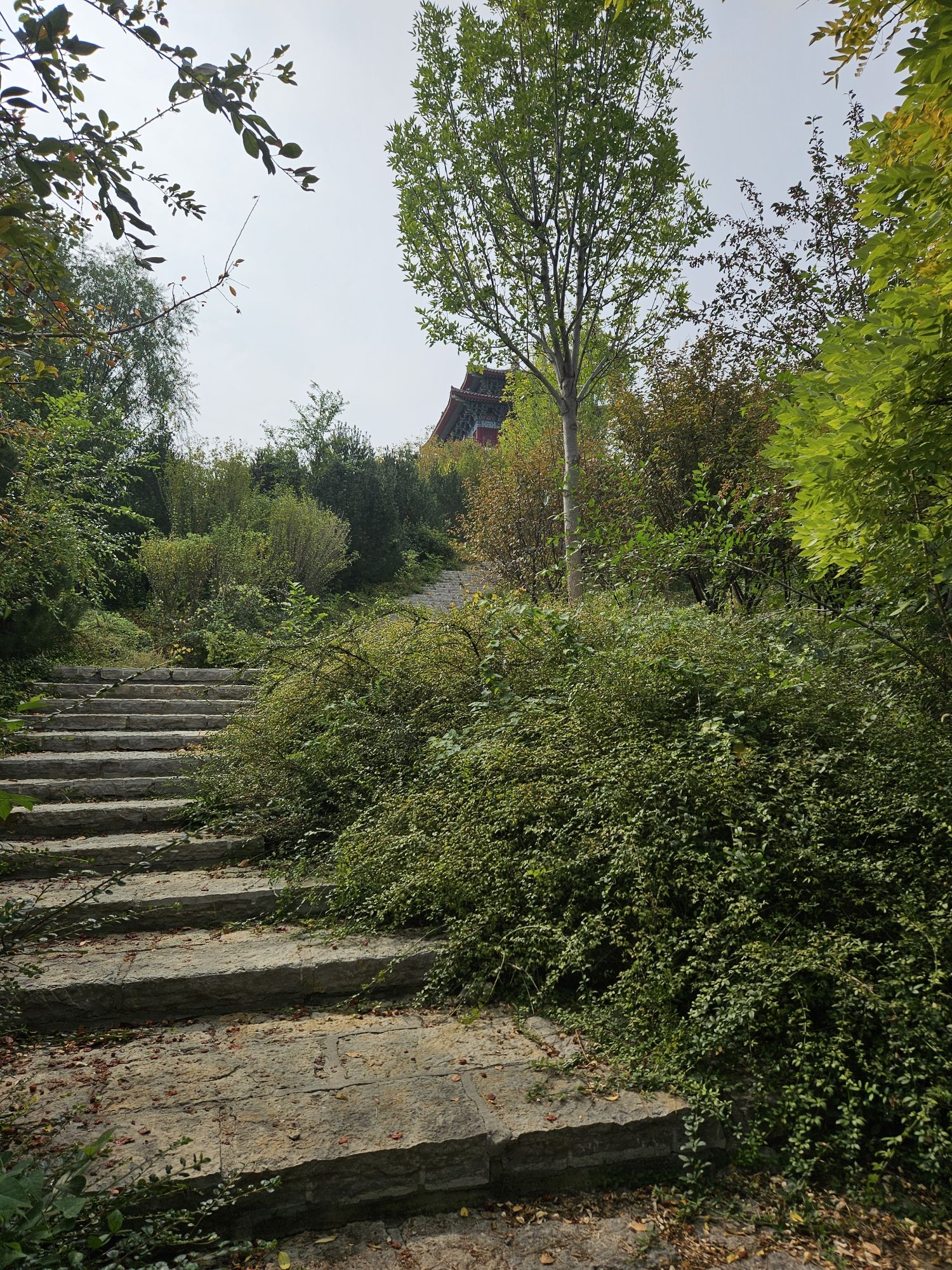 青龙山公园旅行图片 2