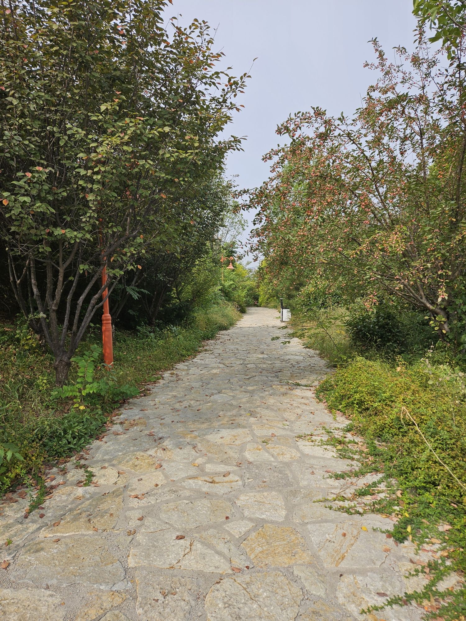 青龙山公园旅行图片 1