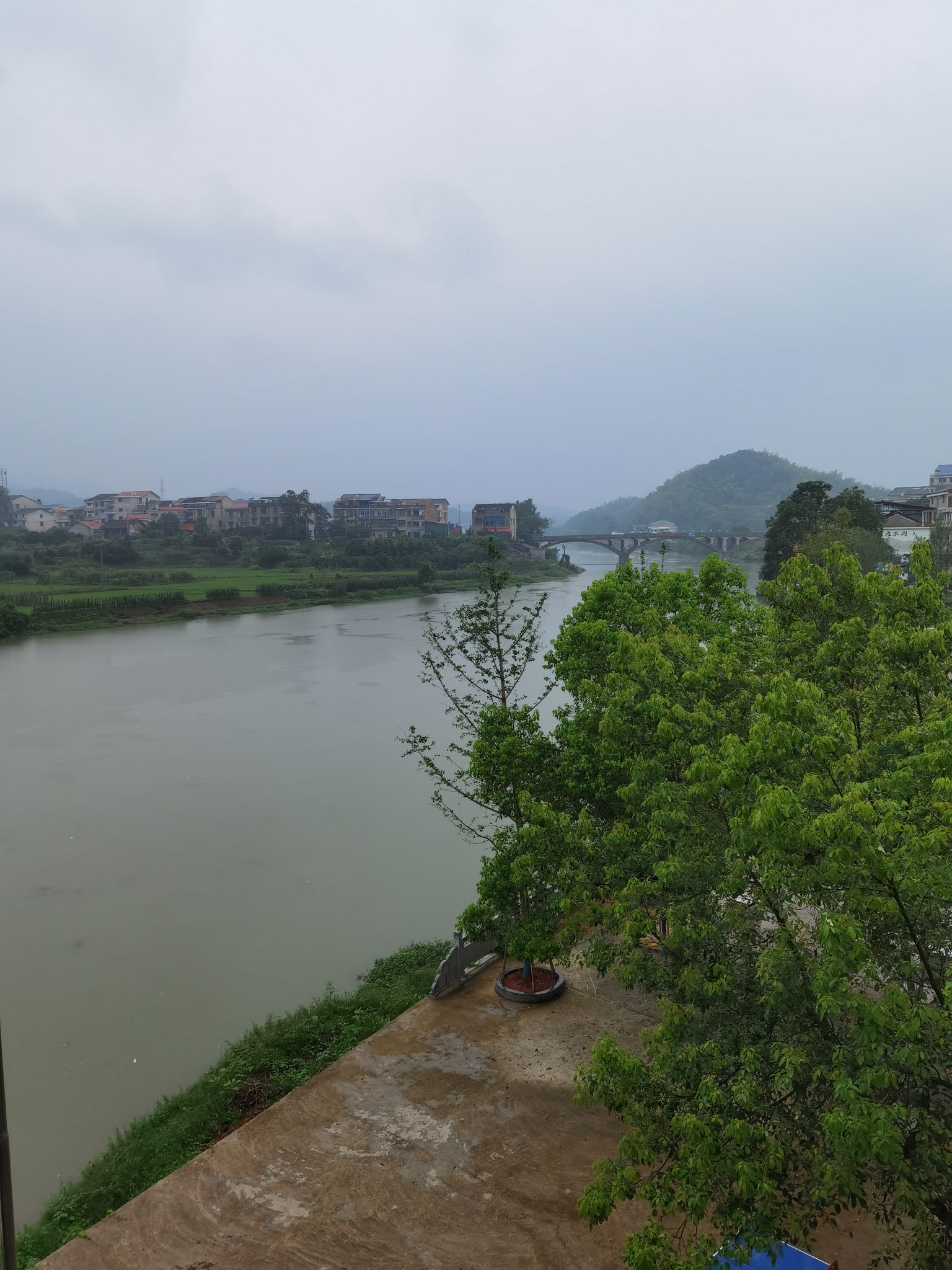 洛阳湾旅行图片 2