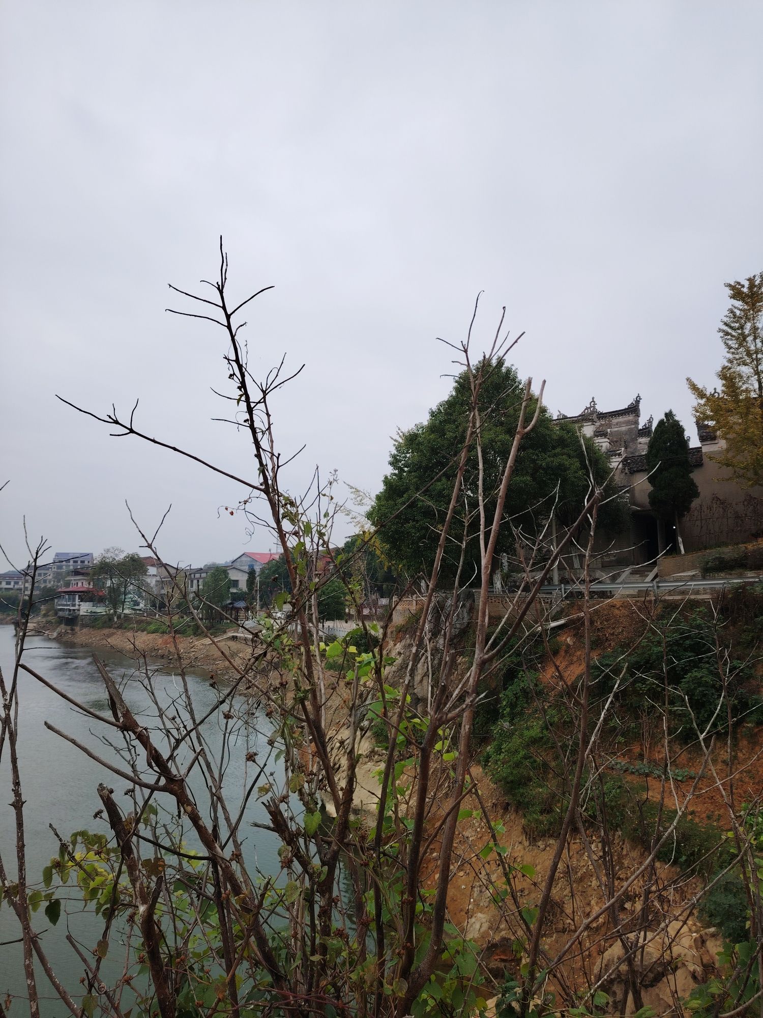 洛阳湾旅行图片 2